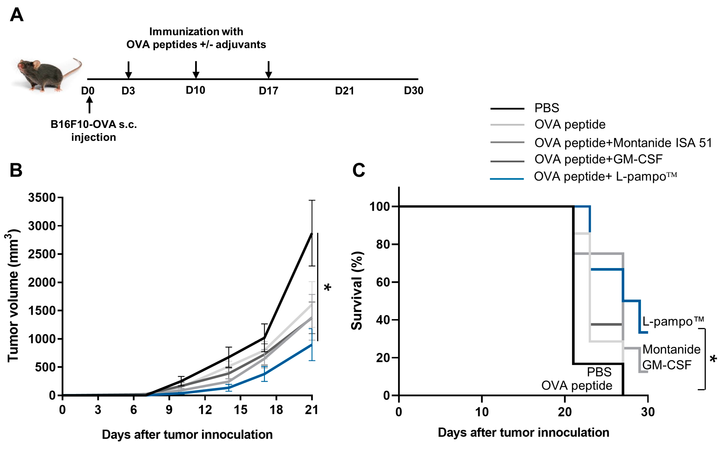 Cancers 15 03978 g004