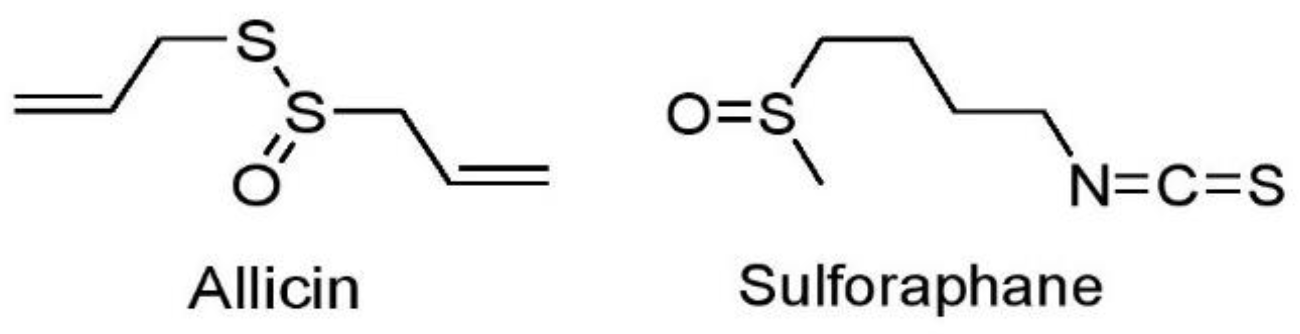 Cancers 15 03980 g006