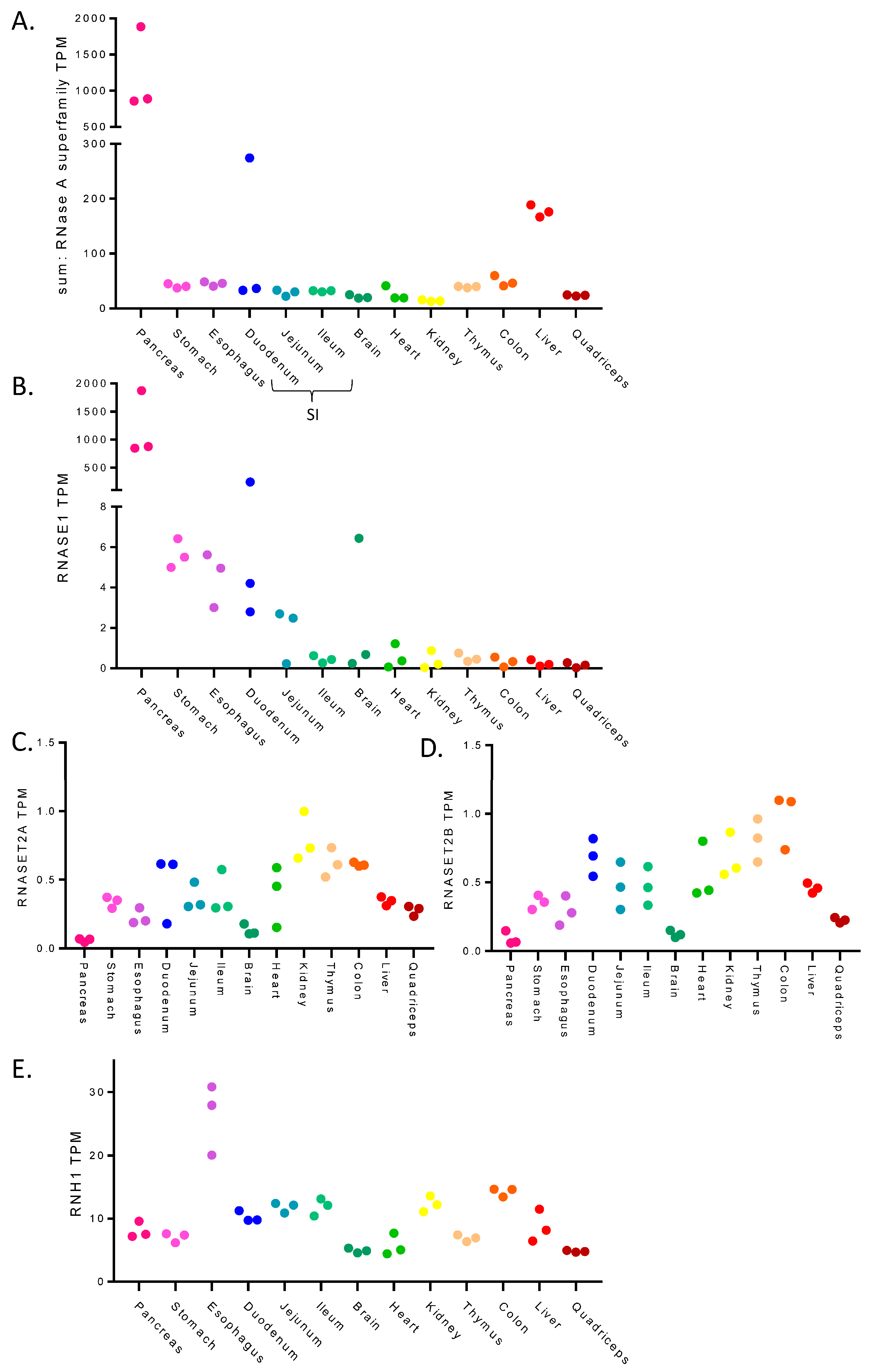 Cancers 15 03985 g001