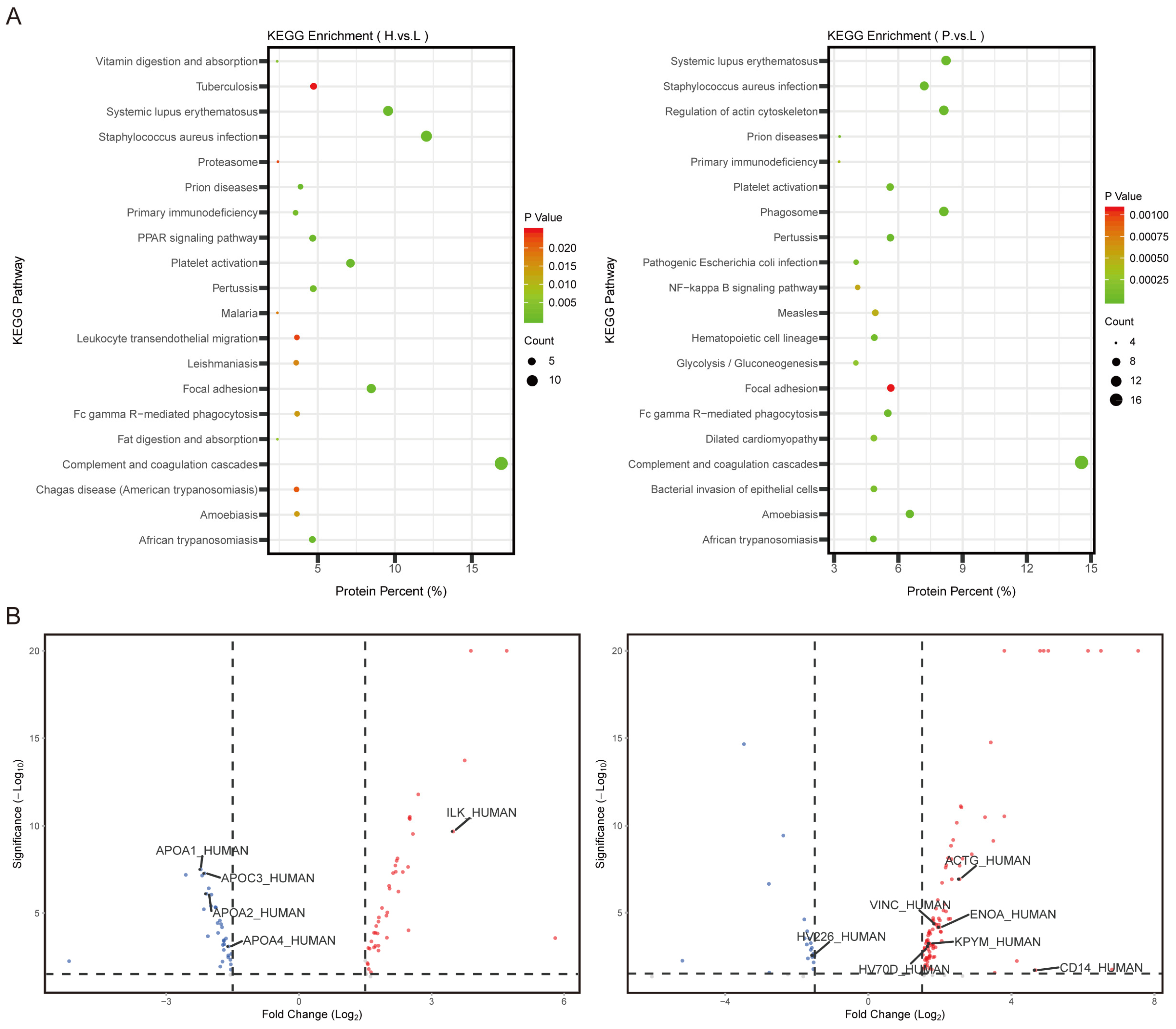 Cancers 15 03986 g002