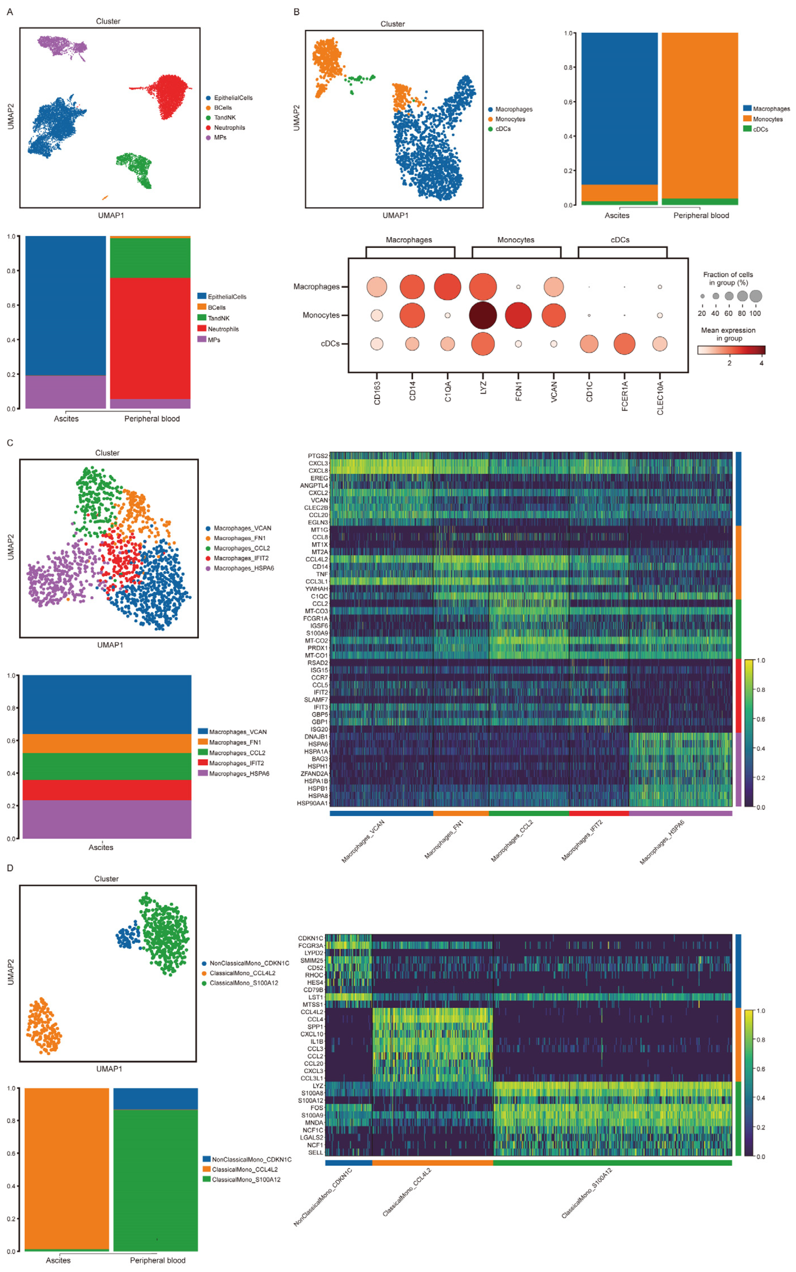 Cancers 15 03986 g005