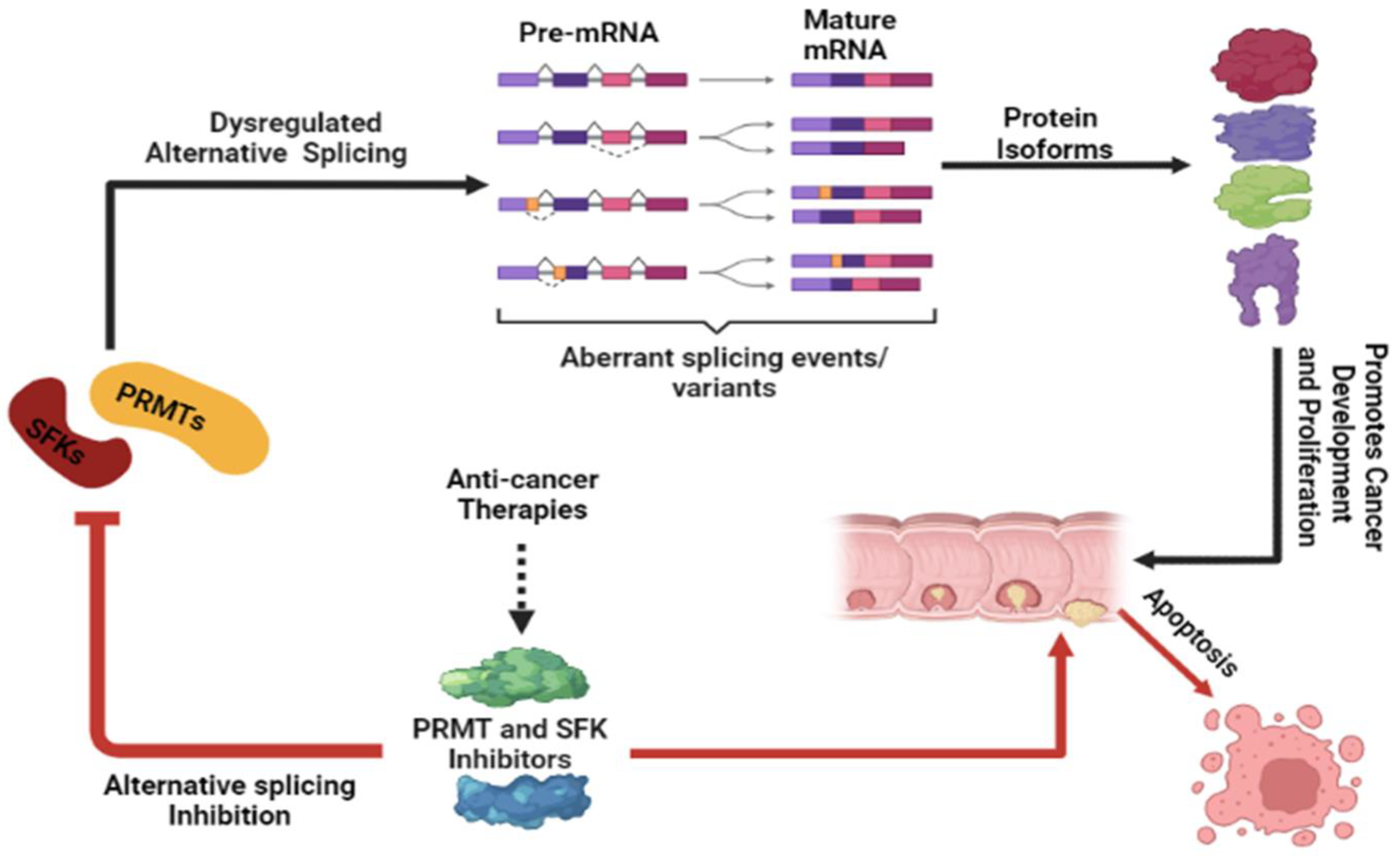 The role played by alternative splicing in antigenic variability in