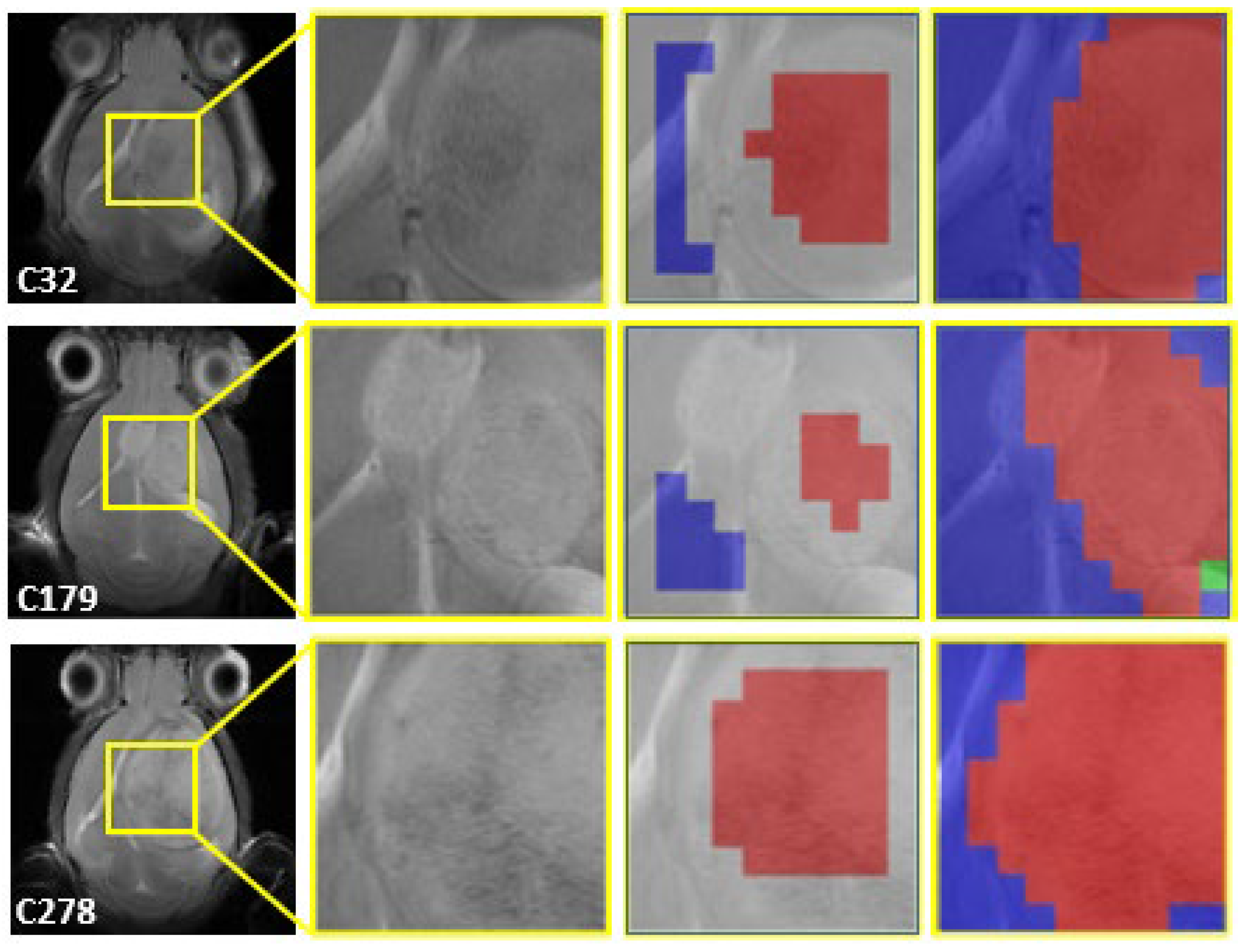 Cancers 15 04002 g003 Cancers 15 04002 g003