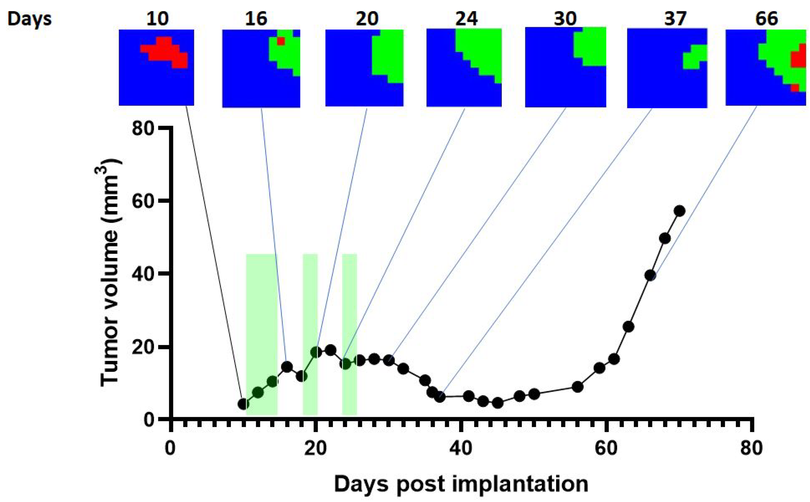 Cancers 15 04002 g005 Cancers 15 04002 g005