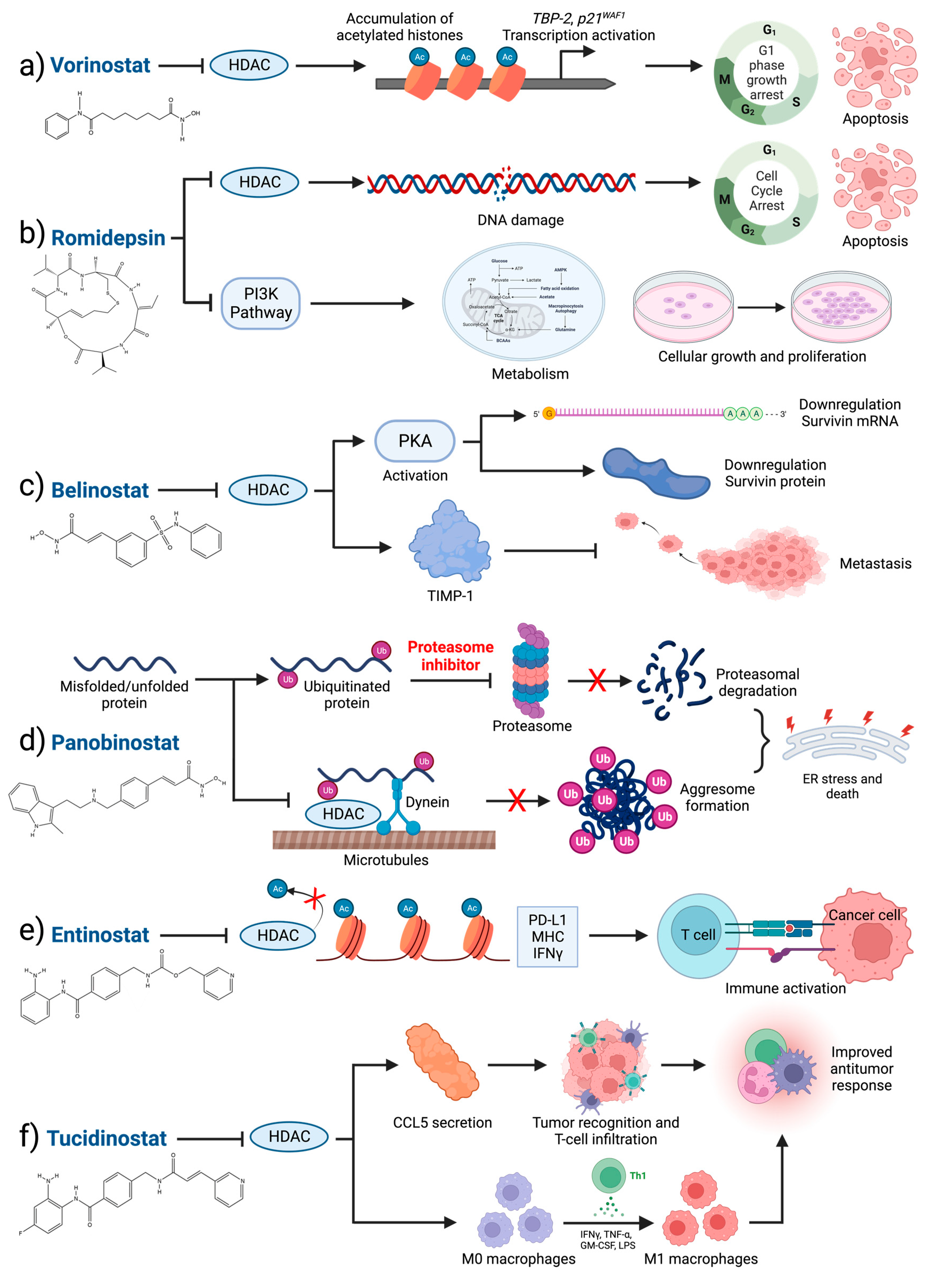 Cancers 15 04005 g002 Cancers 15 04005 g002