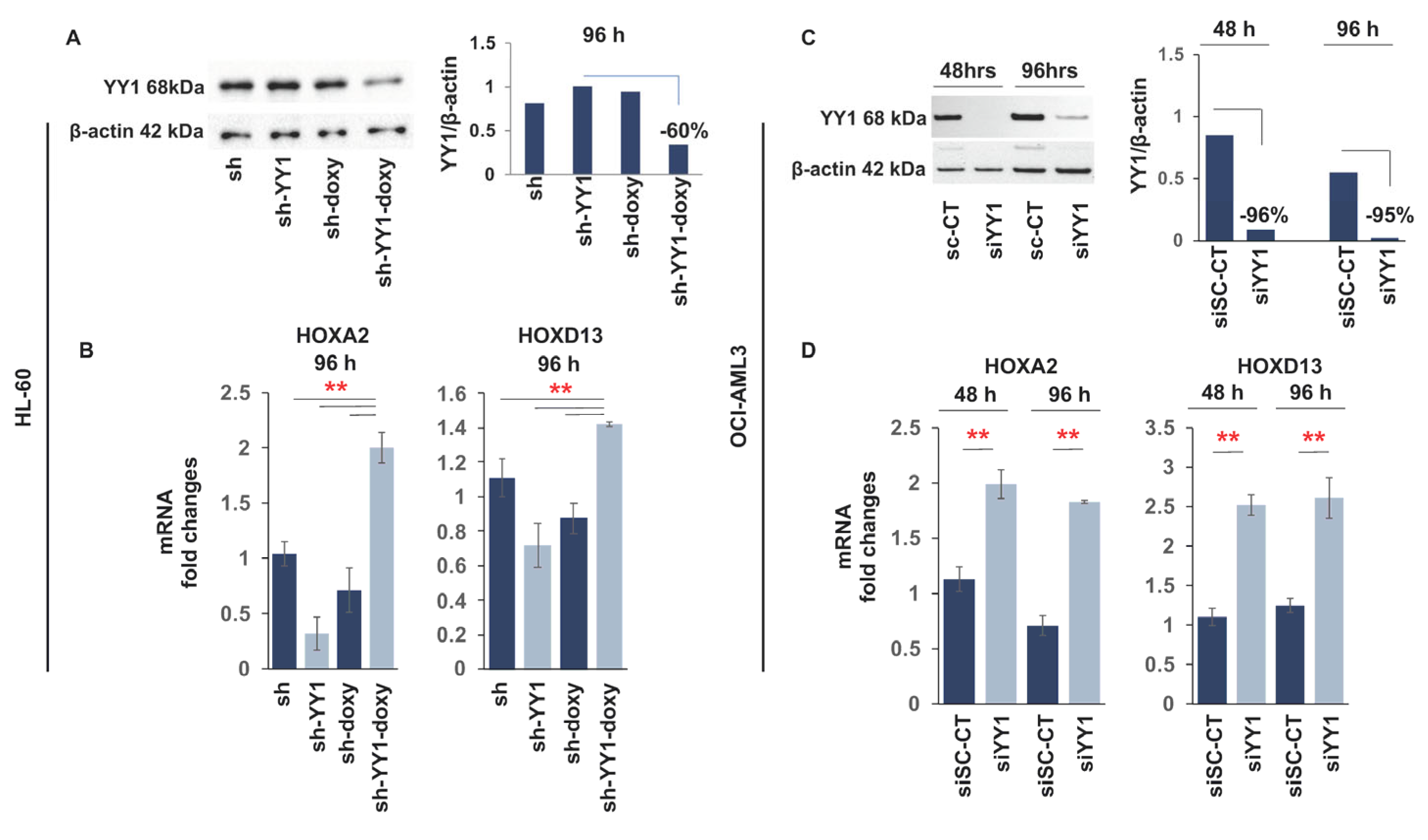 Cancers 15 04010 g002