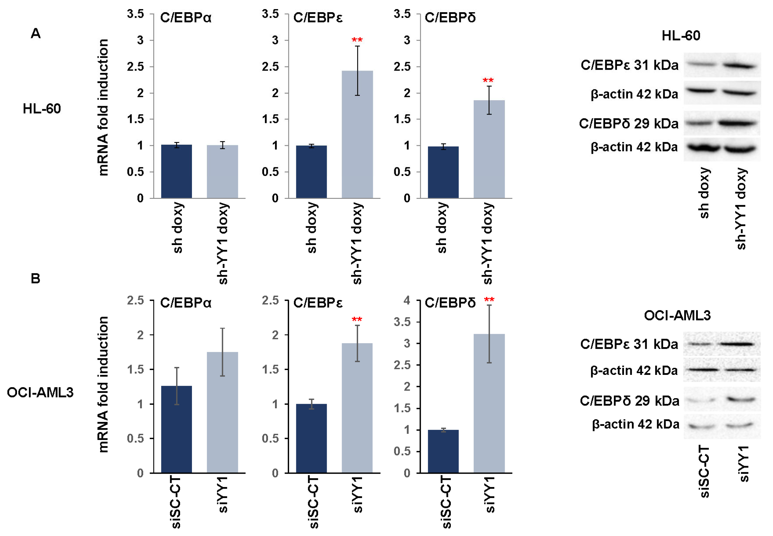 Cancers 15 04010 g003