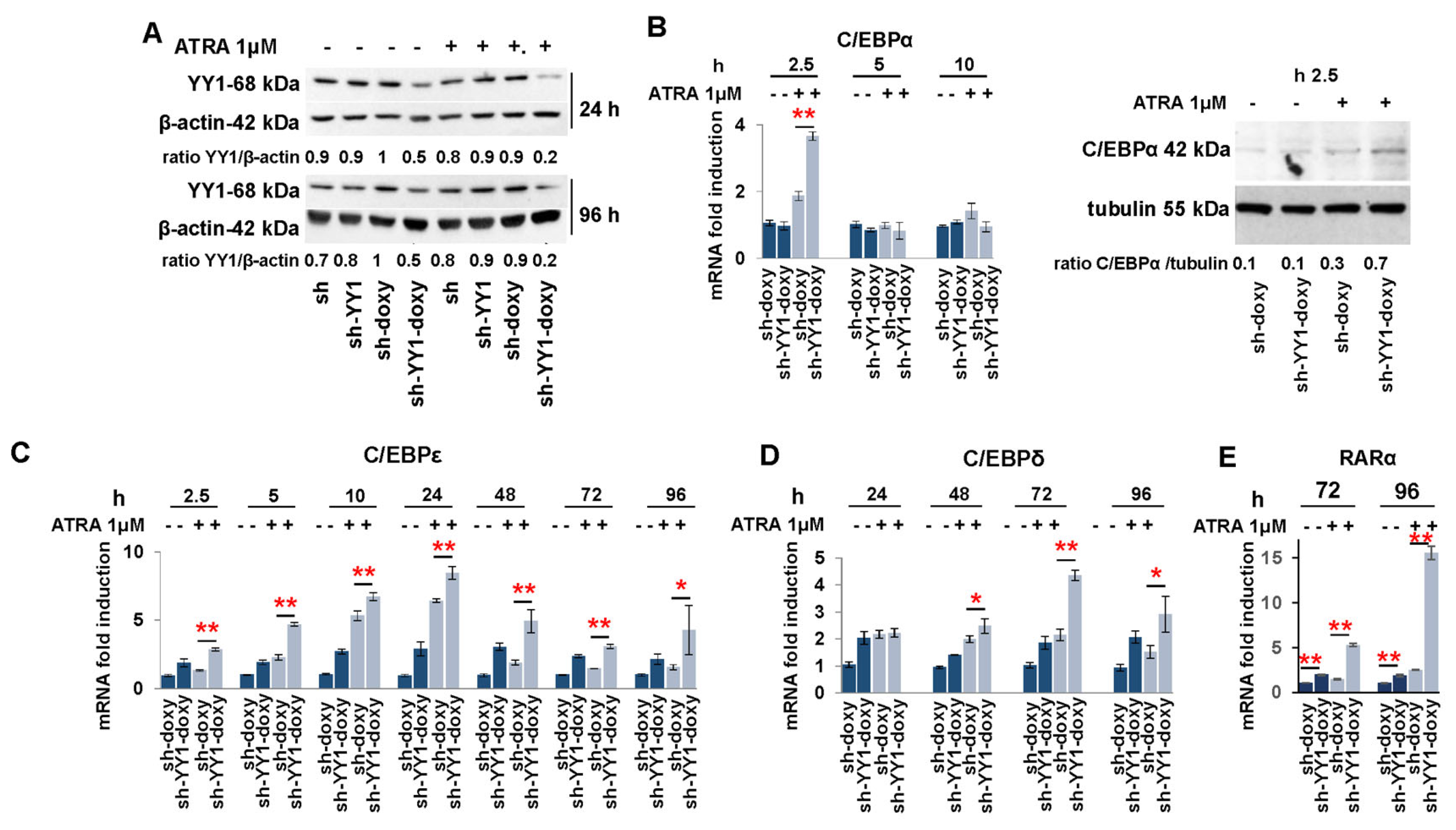 Cancers 15 04010 g004
