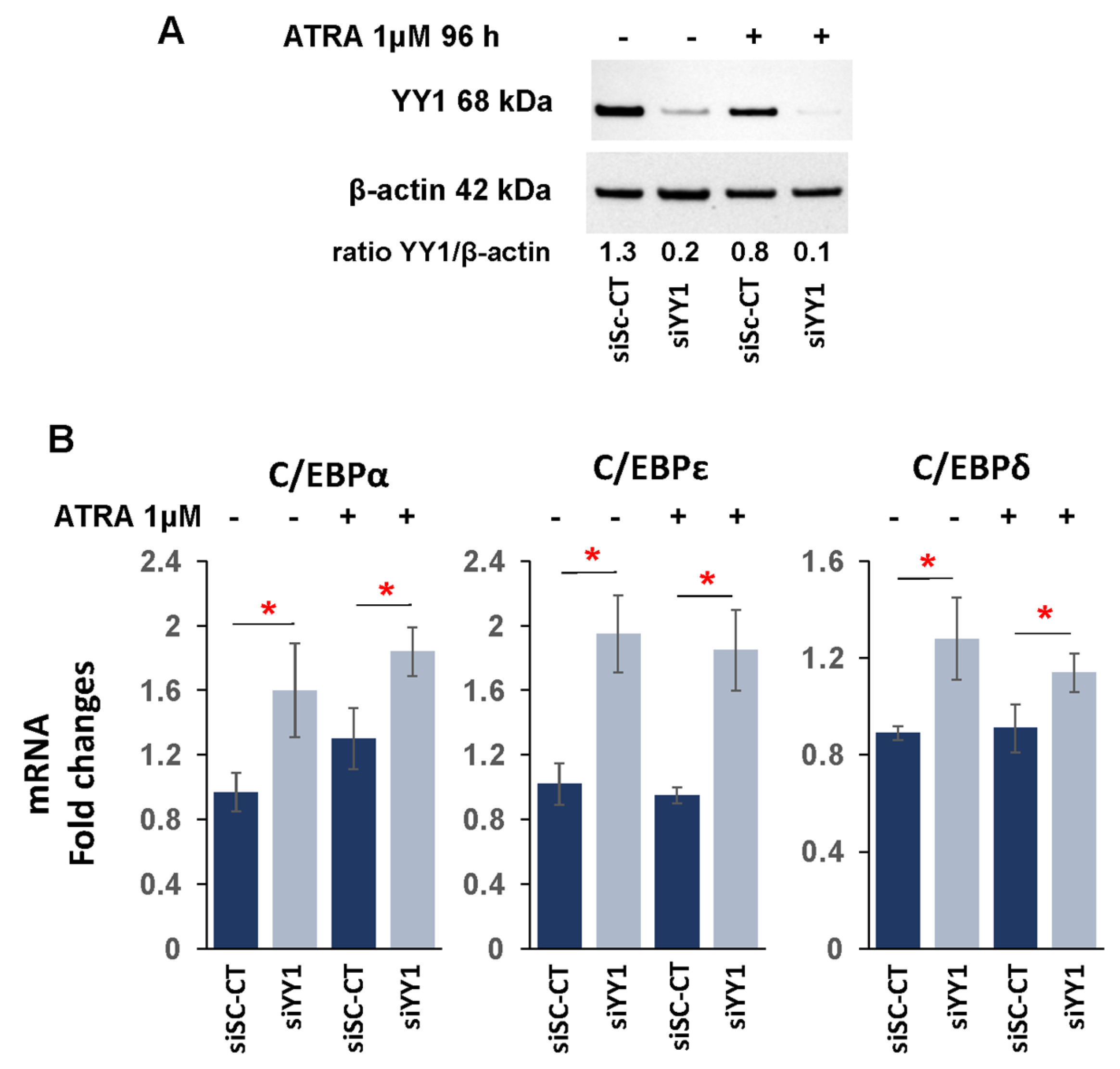 Cancers 15 04010 g005