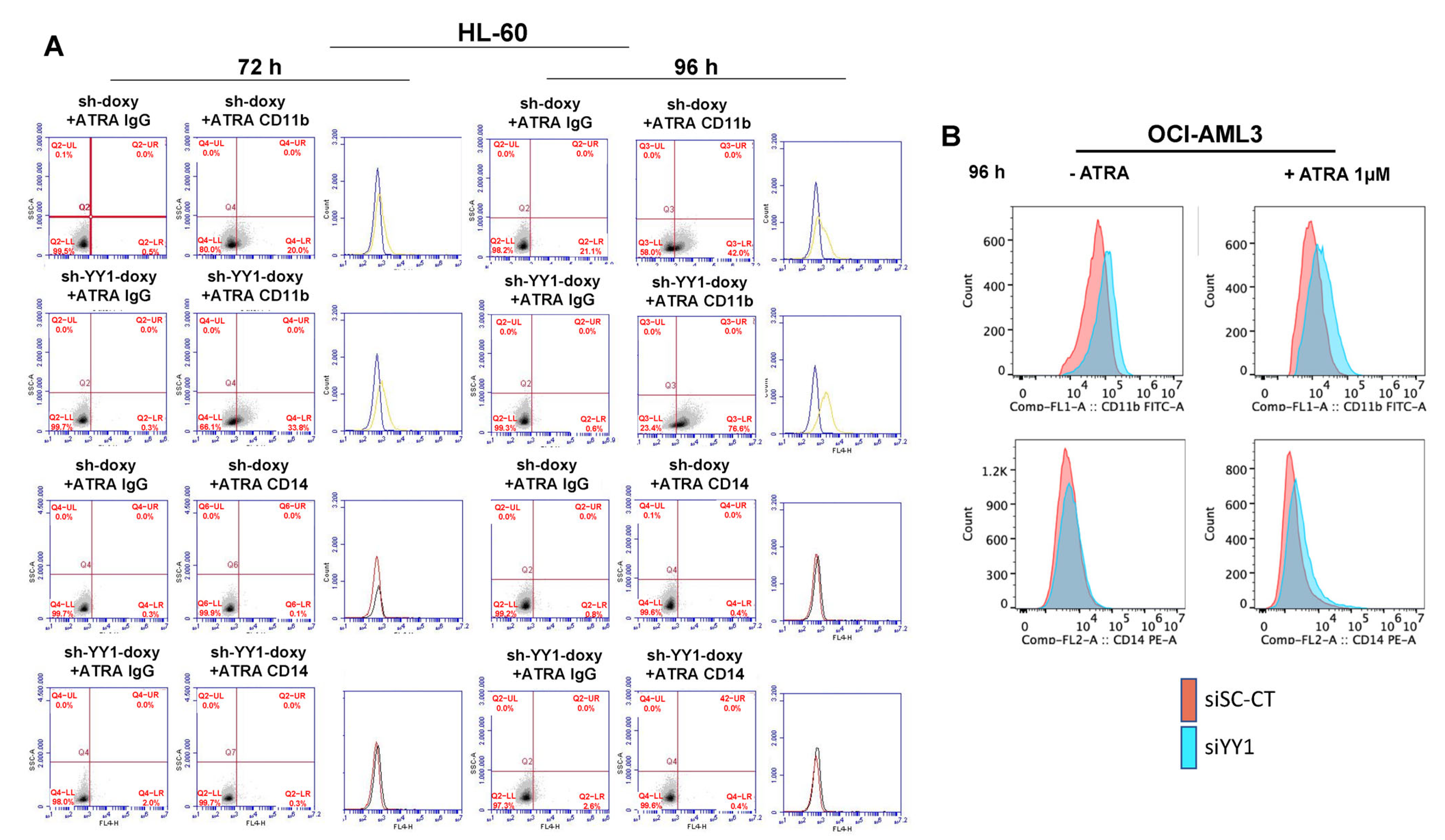 Cancers 15 04010 g007
