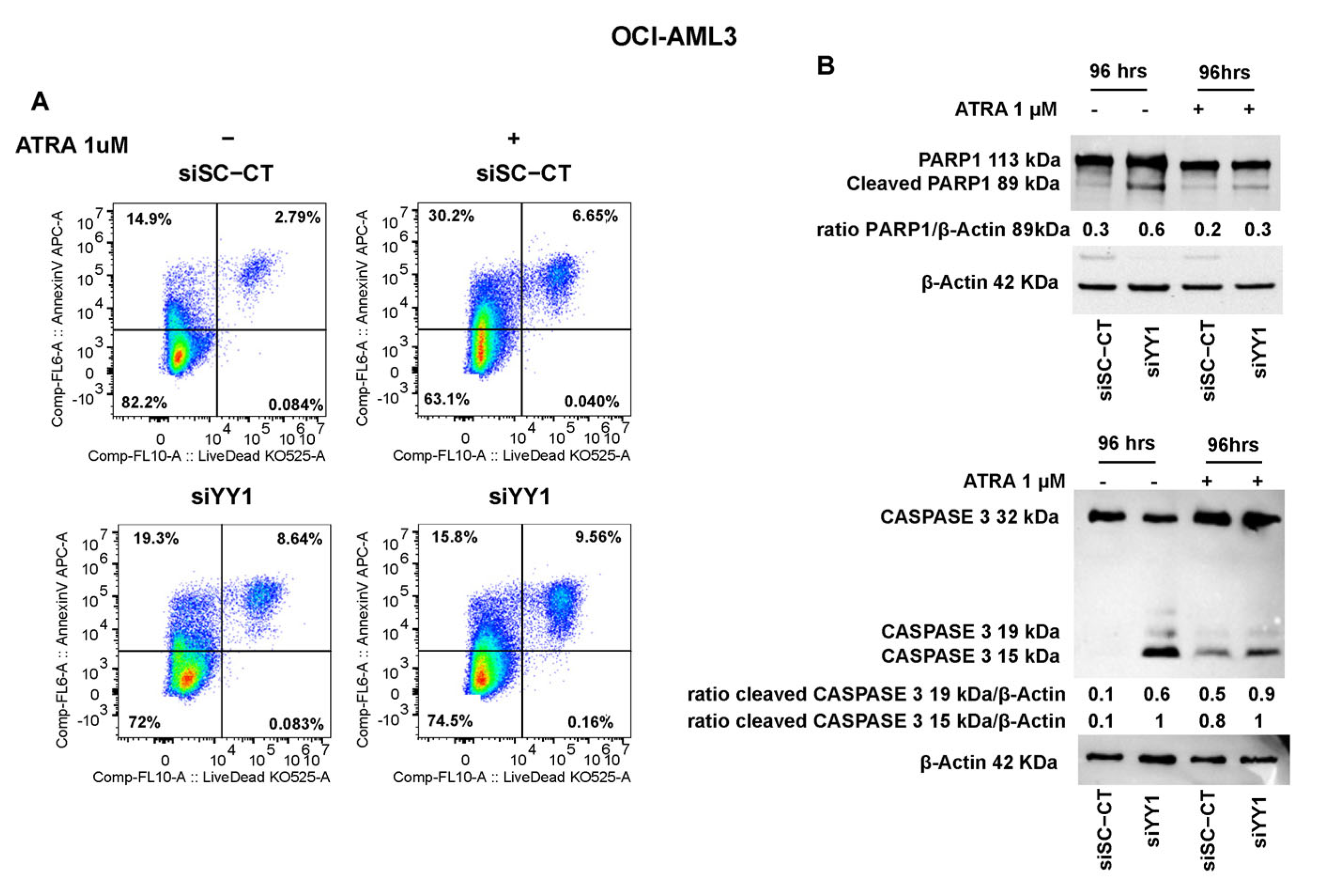 Cancers 15 04010 g011