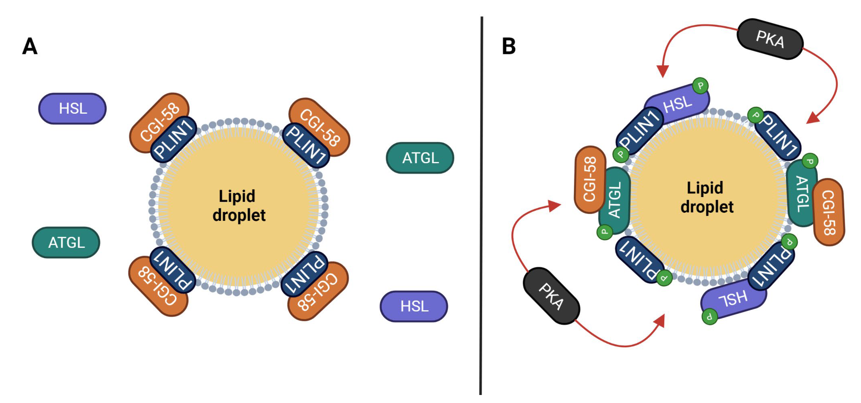 Cancers 15 04013 g002