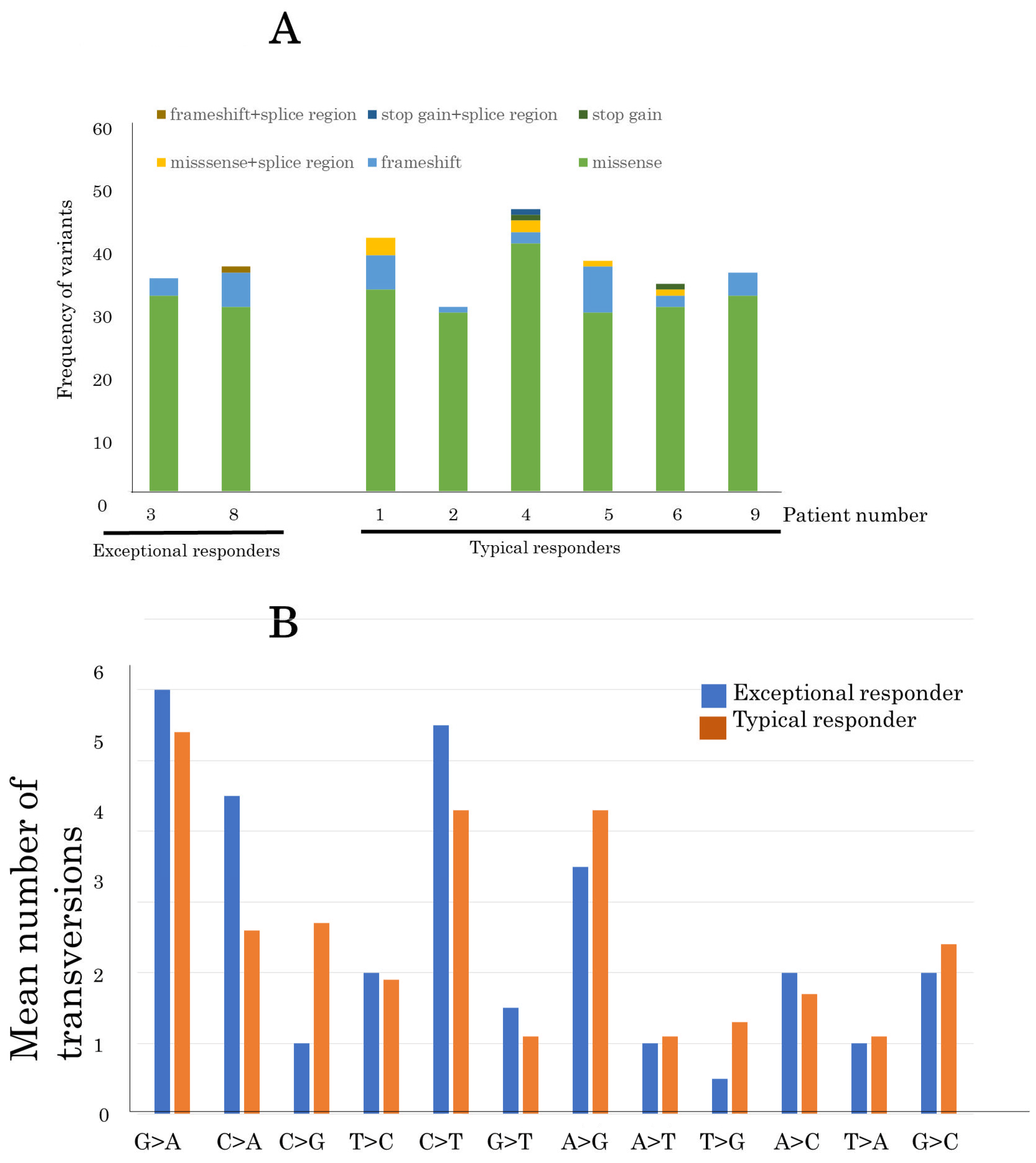 Cancers 15 04018 g004 Cancers 15 04018 g004