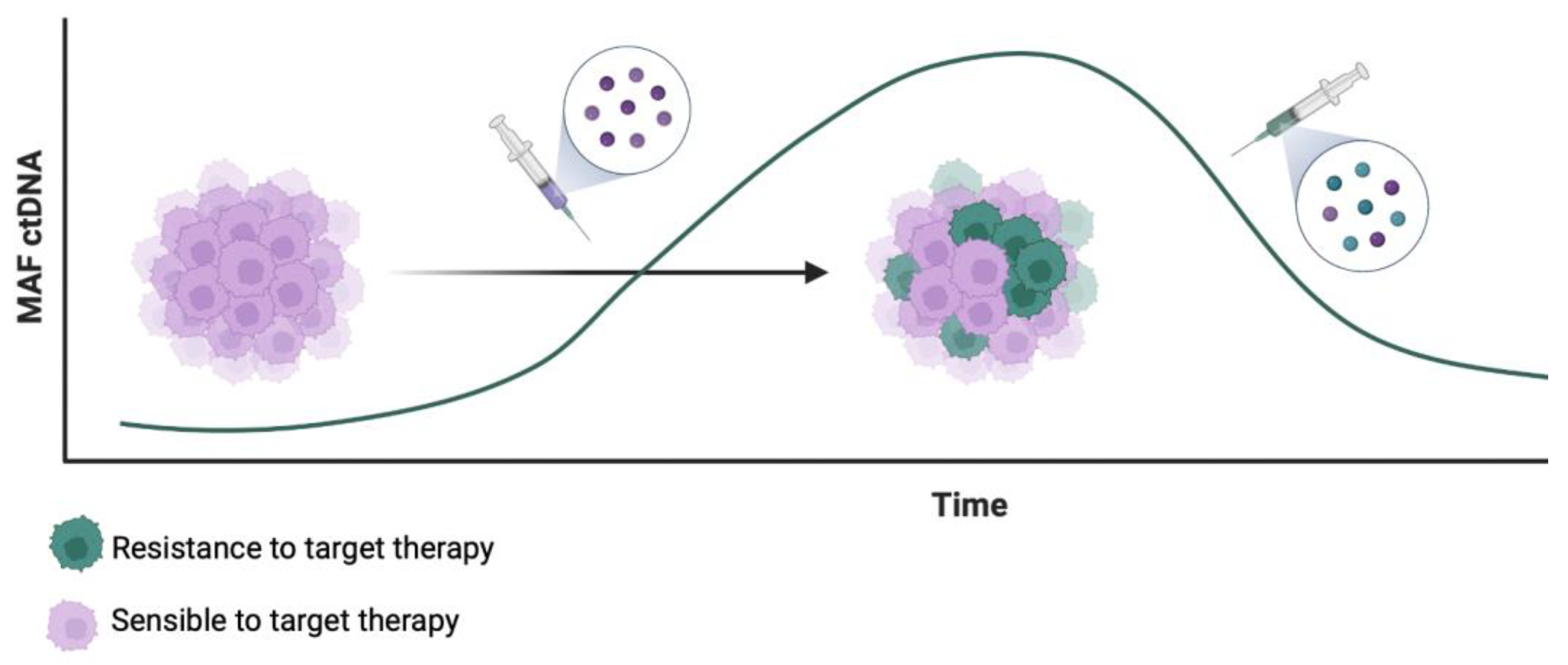 Cancers 15 04020 g001 Cancers 15 04020 g001