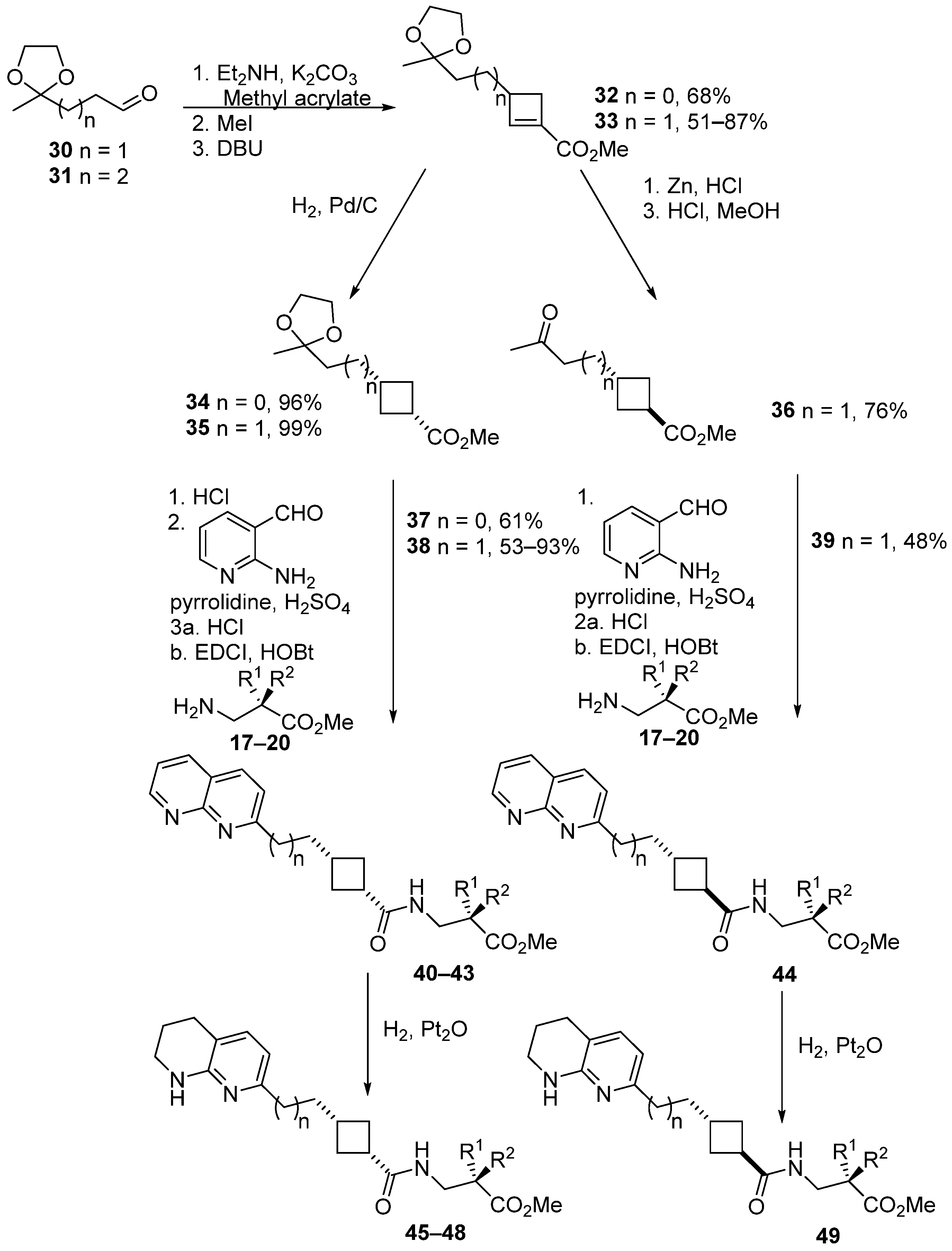 Cancers 15 04023 sch002 Cancers 15 04023 sch002