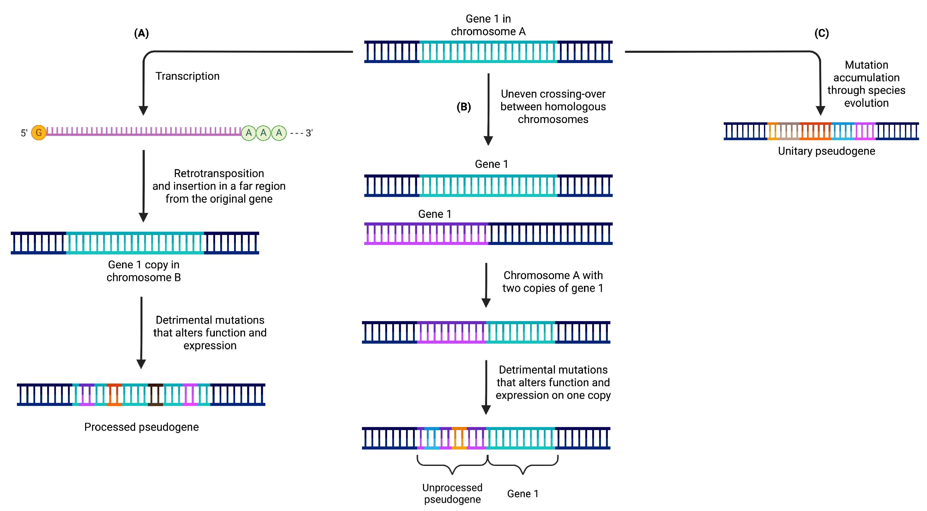Cancers 15 04024 g001 Cancers 15 04024 g001