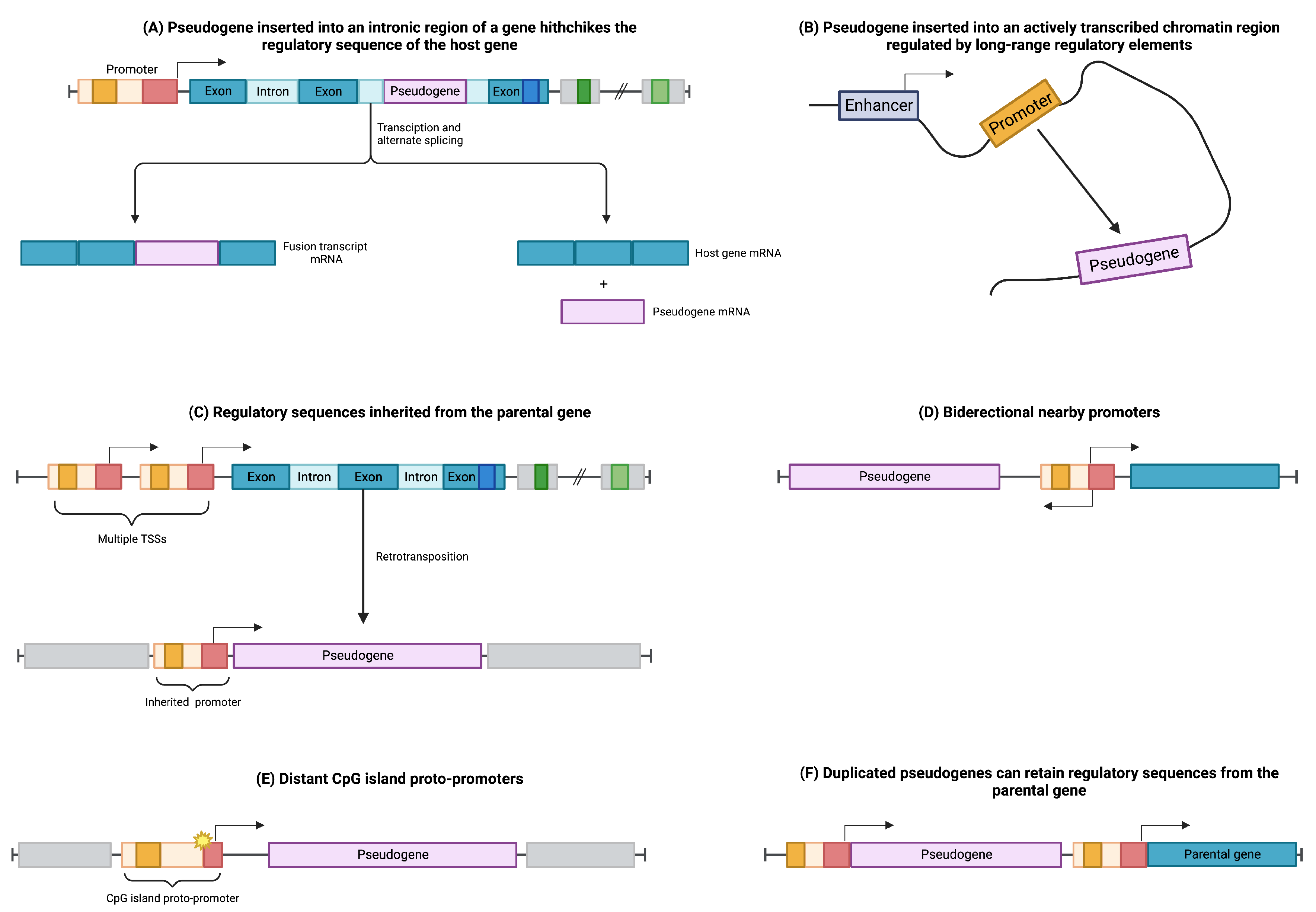 Cancers 15 04024 g002 Cancers 15 04024 g002