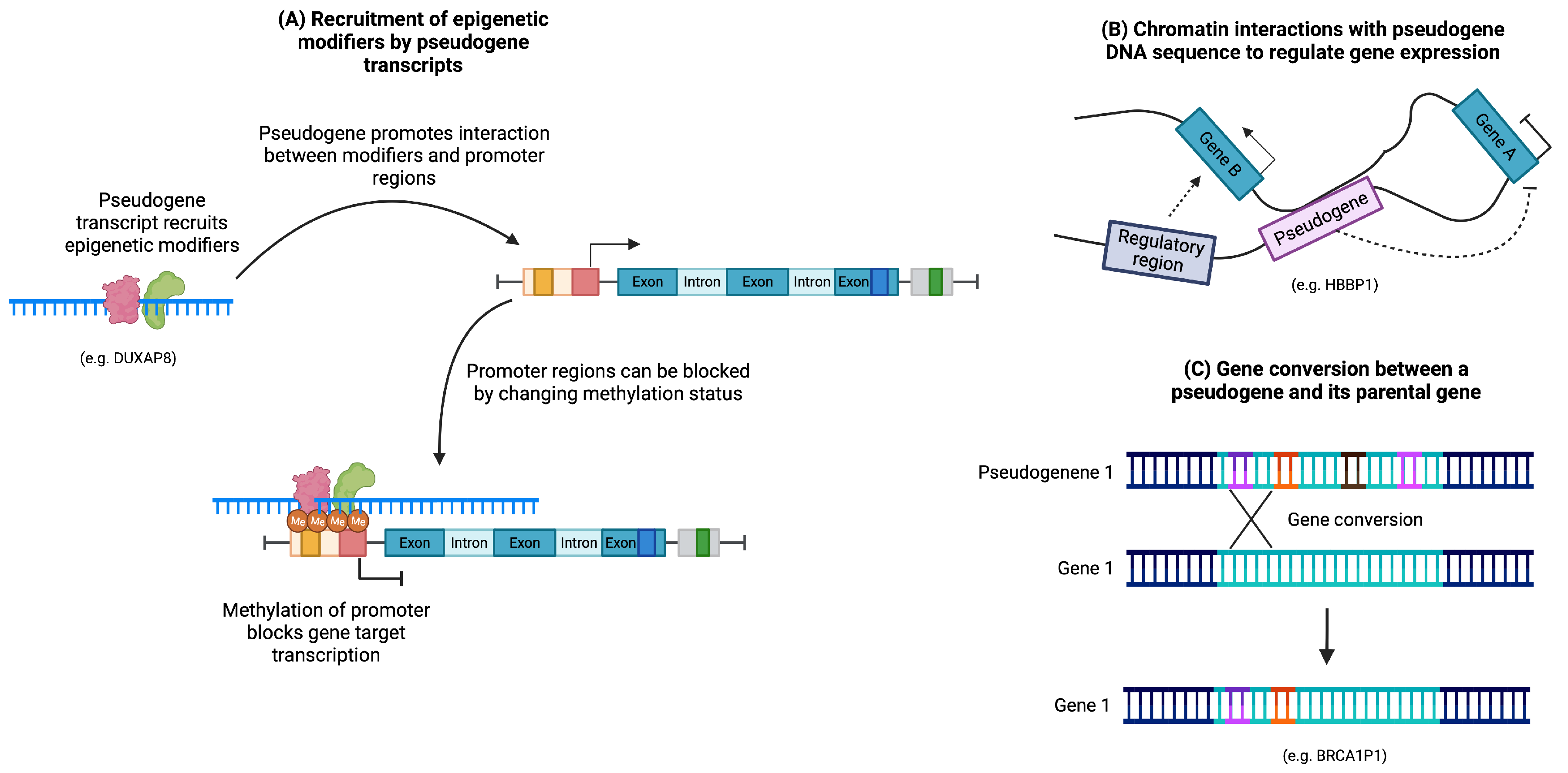 Cancers 15 04024 g005 Cancers 15 04024 g005