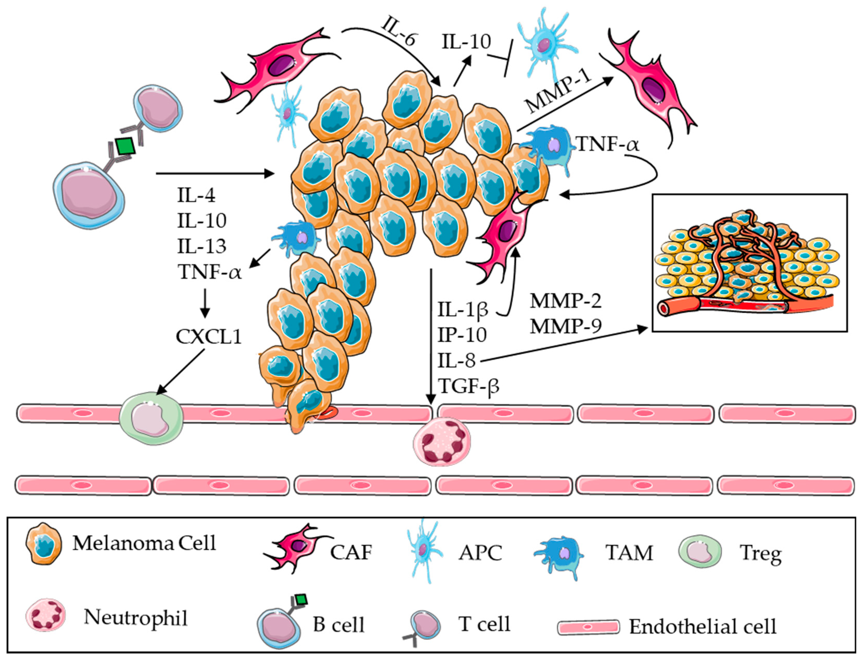 Cancers 15 04026 g003 Cancers 15 04026 g003