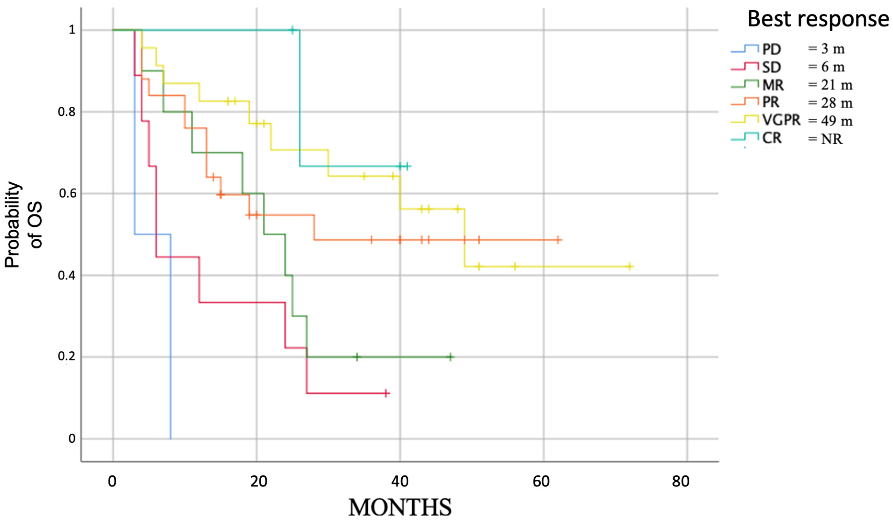 Cancers 15 04036 g006 Cancers 15 04036 g006