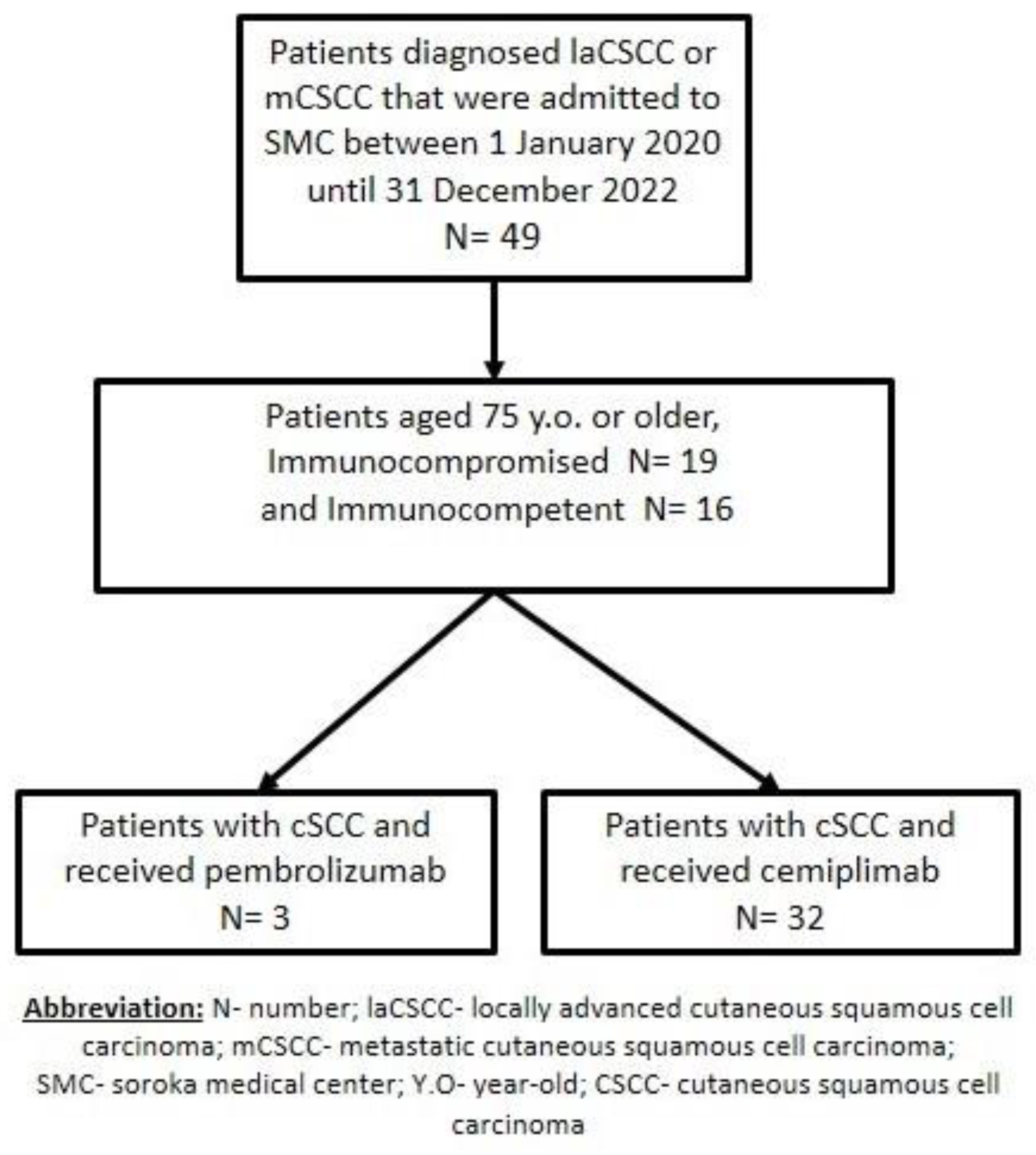 Cancers 15 04041 g001