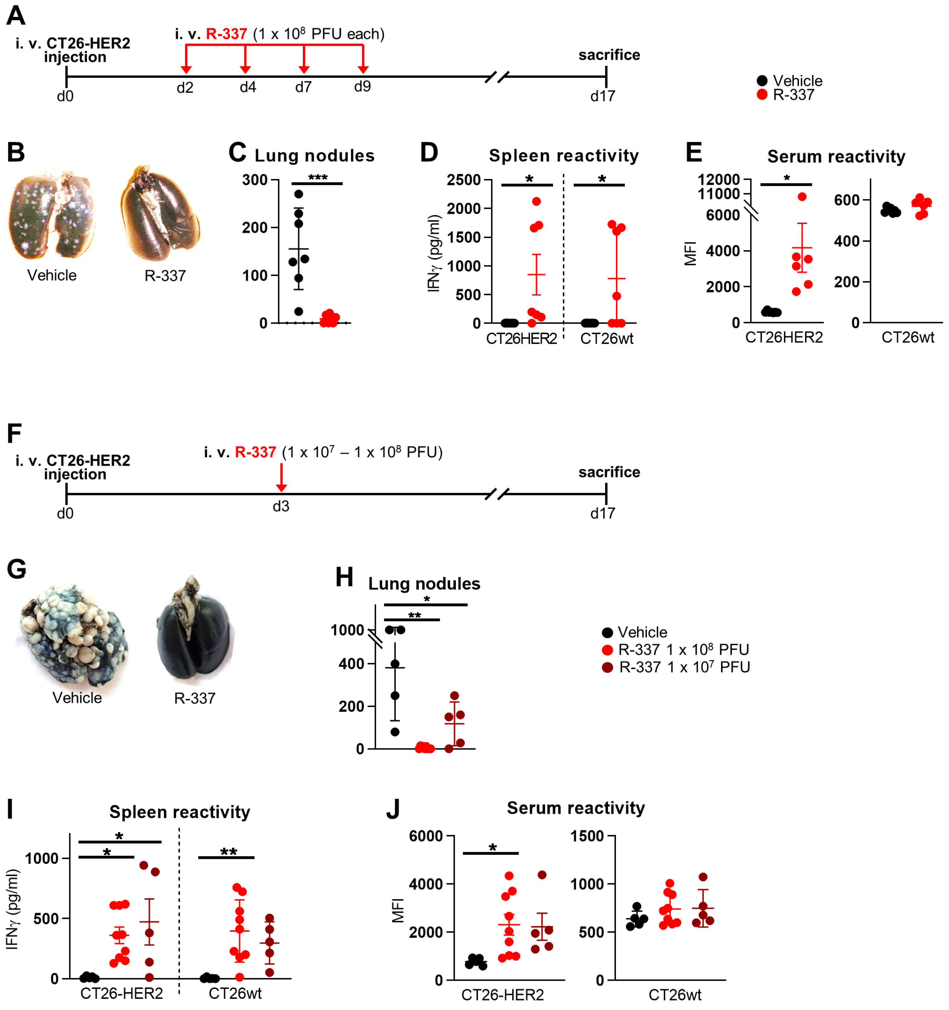 Cancers 15 04042 g001 Cancers 15 04042 g001