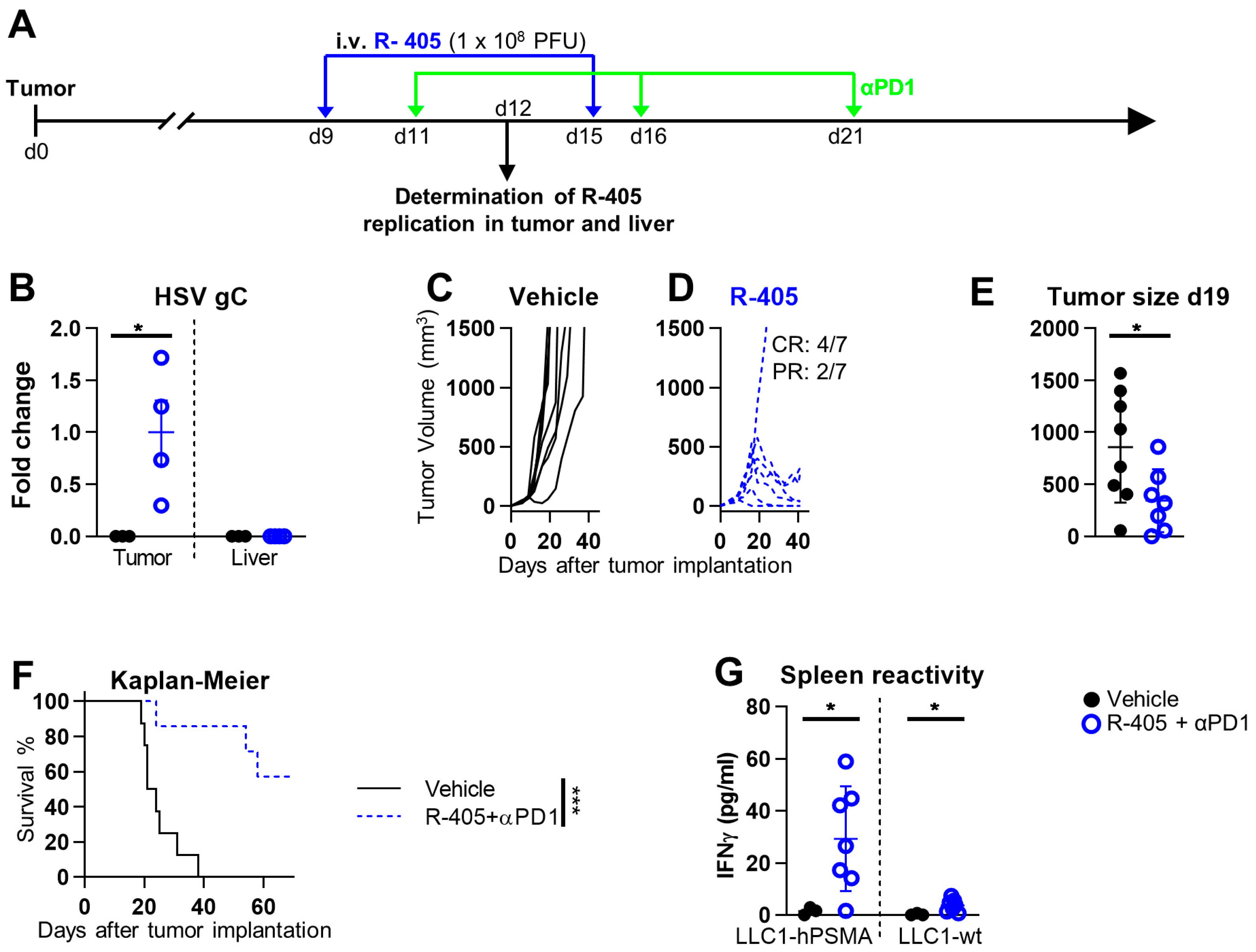 Cancers 15 04042 g003 Cancers 15 04042 g003