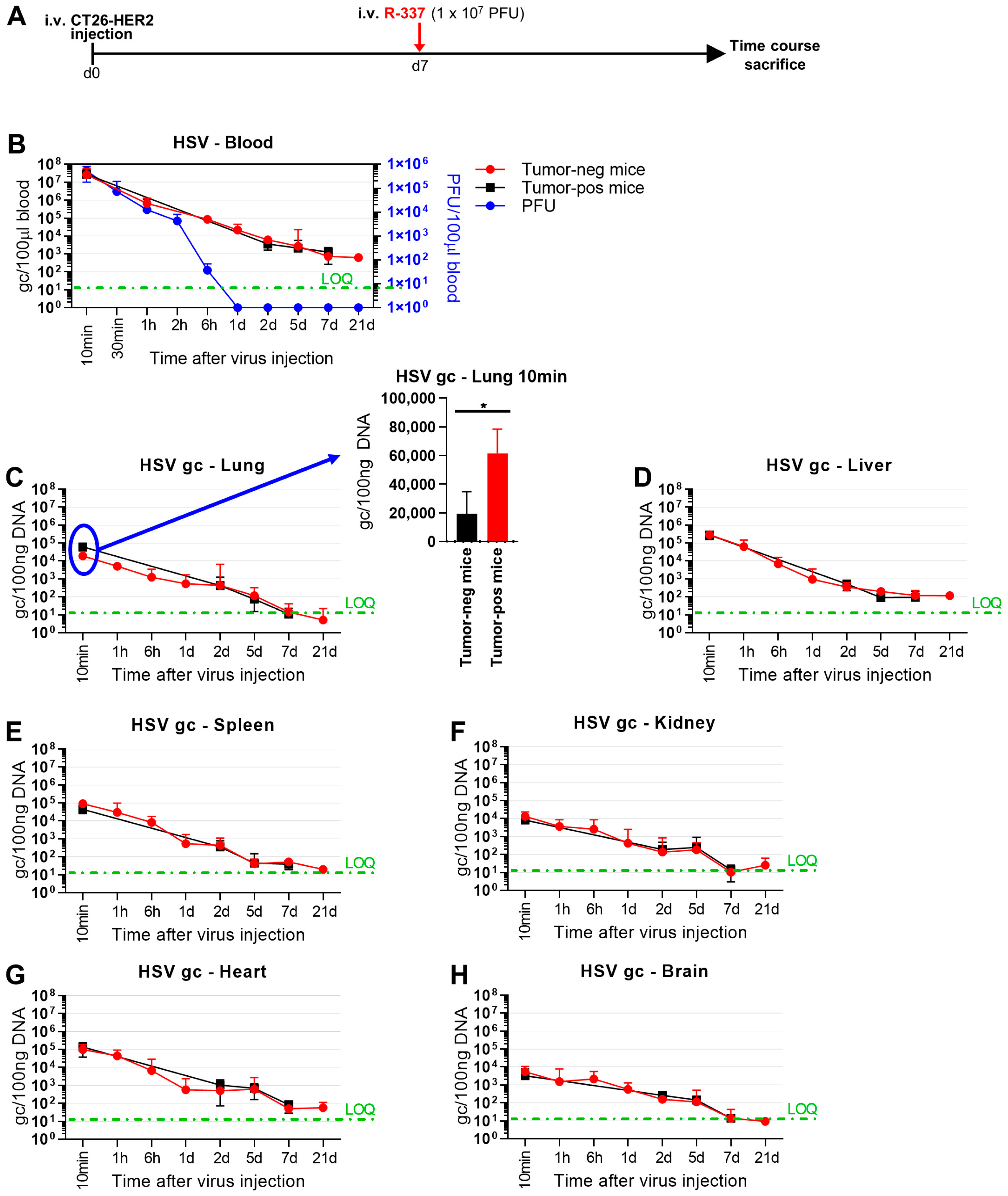 Cancers 15 04042 g004a Cancers 15 04042 g004a