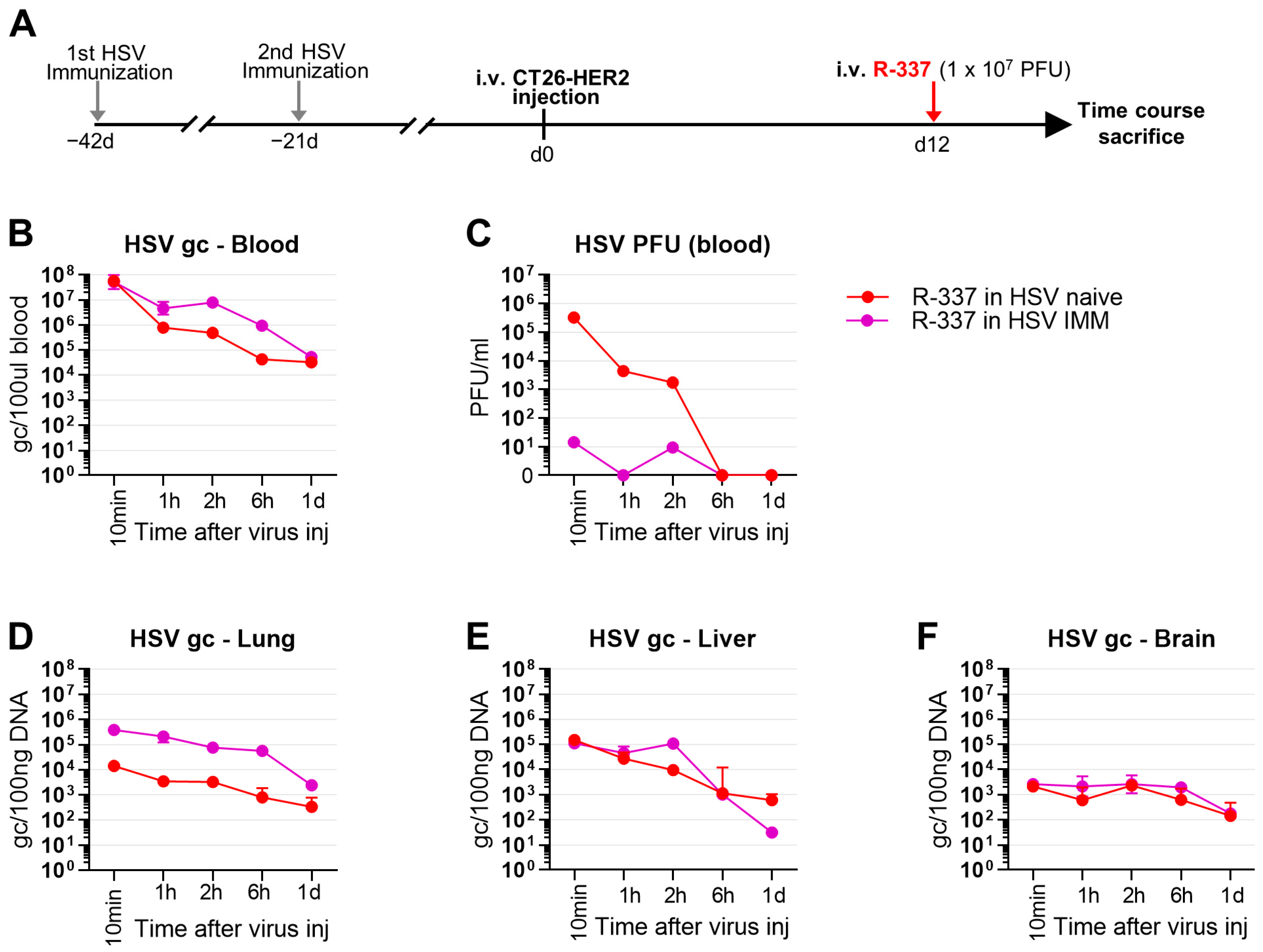 Cancers 15 04042 g006 Cancers 15 04042 g006