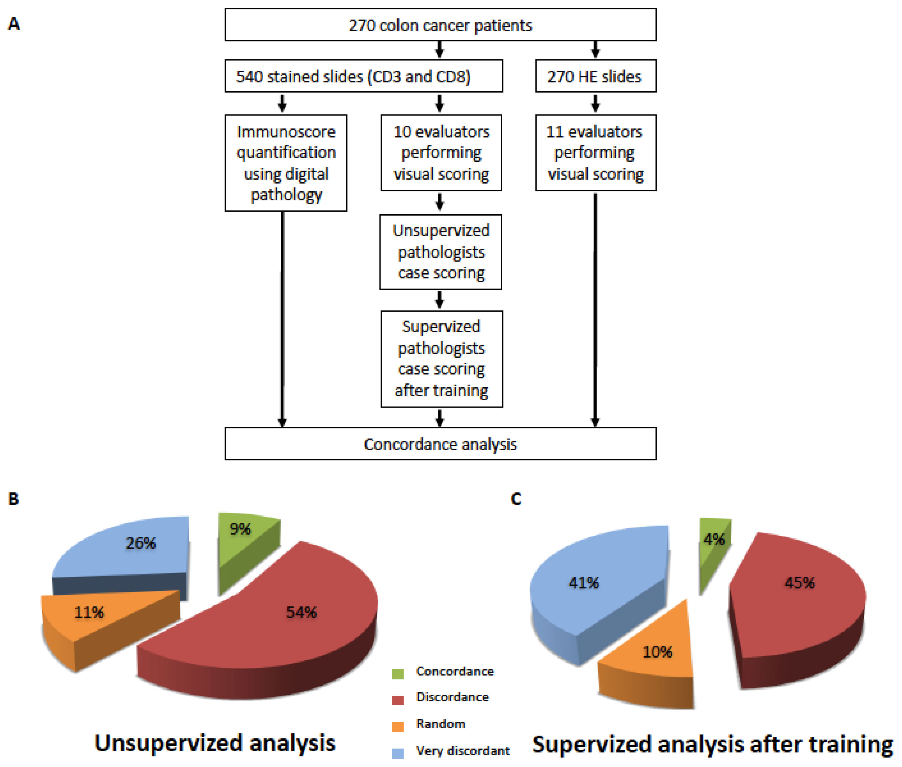 Cancers 15 04045 g001 Cancers 15 04045 g001