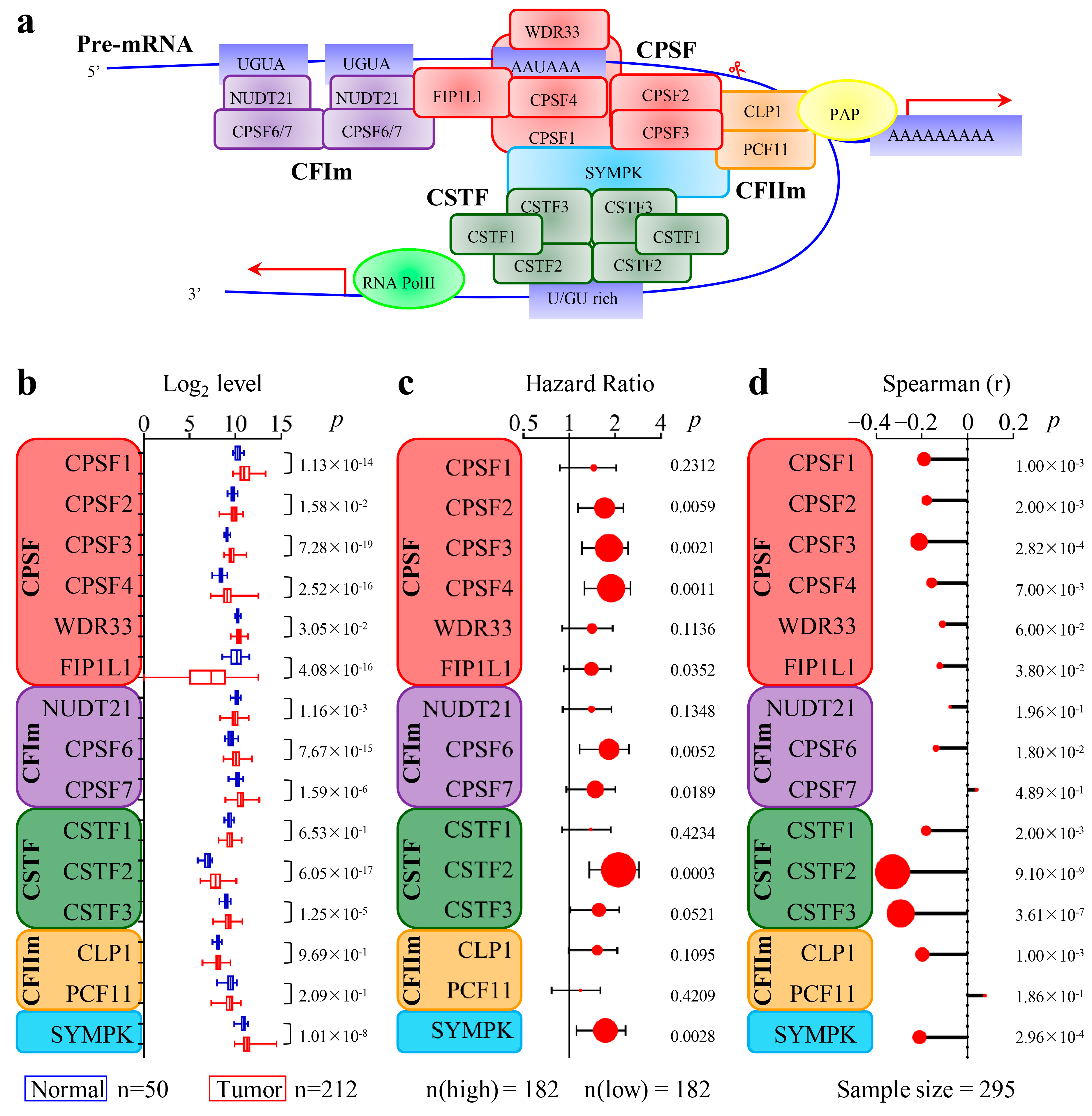 Cancers 15 04057 g001 Cancers 15 04057 g001