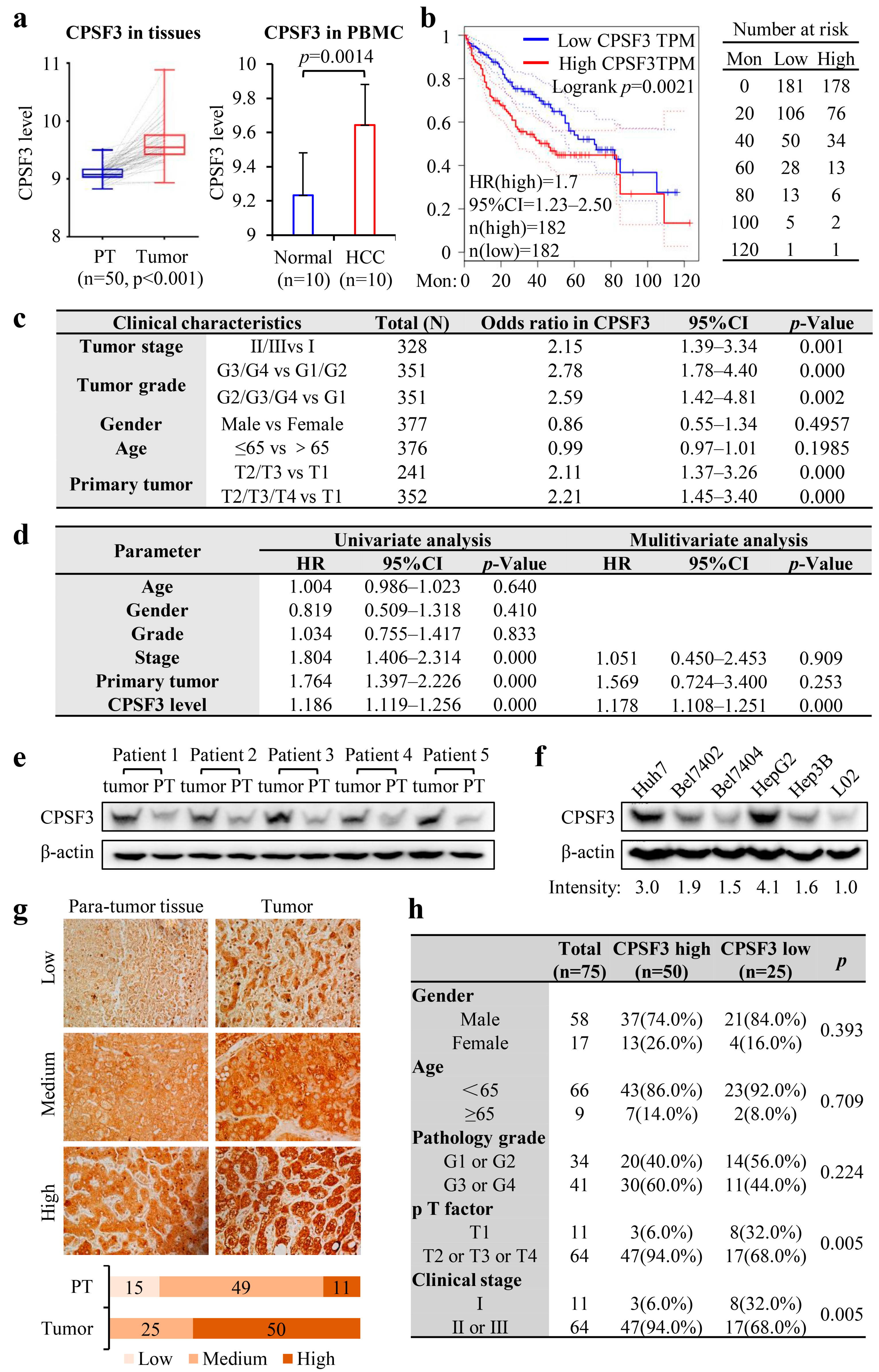 Cancers 15 04057 g002 Cancers 15 04057 g002