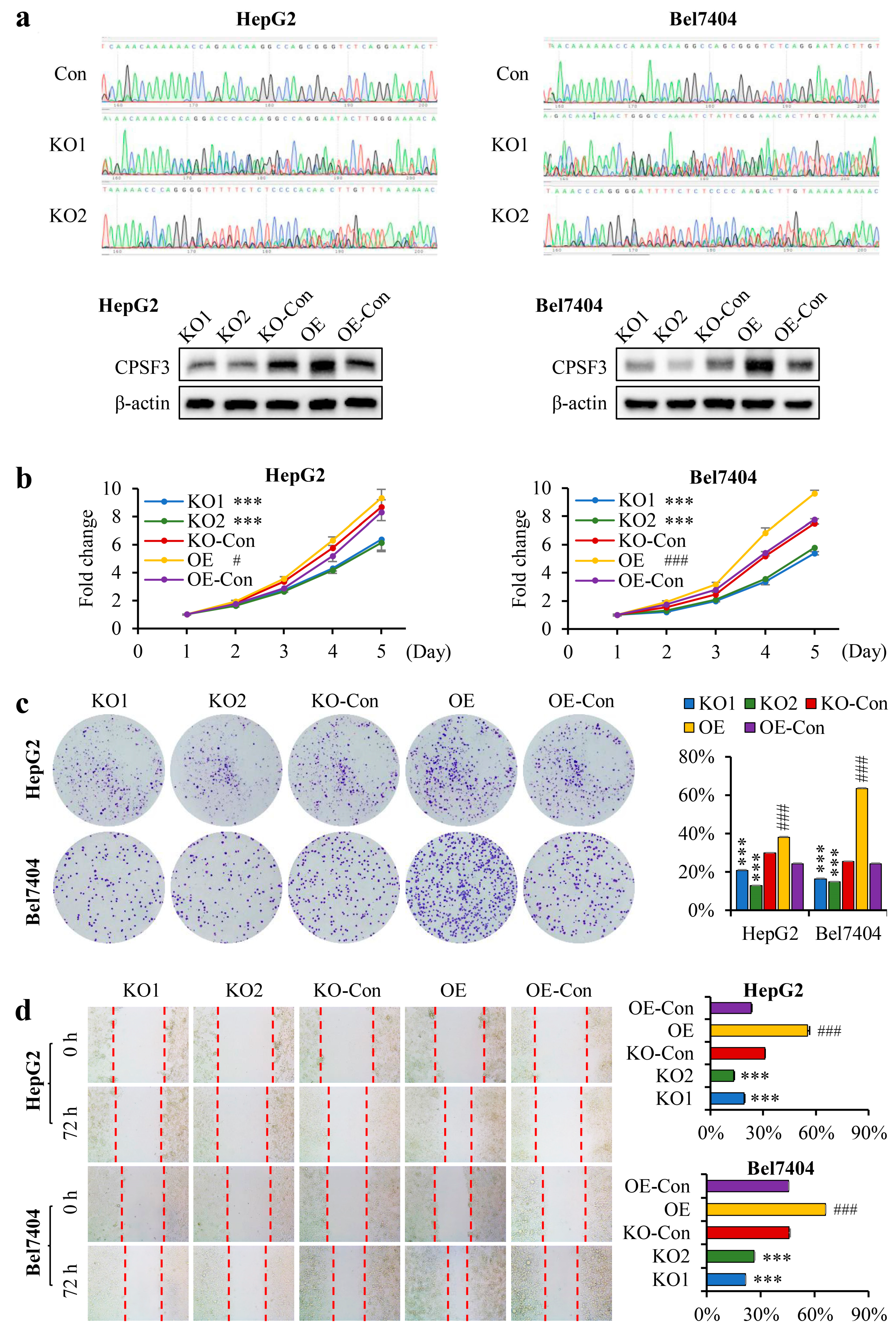 Cancers 15 04057 g003 Cancers 15 04057 g003
