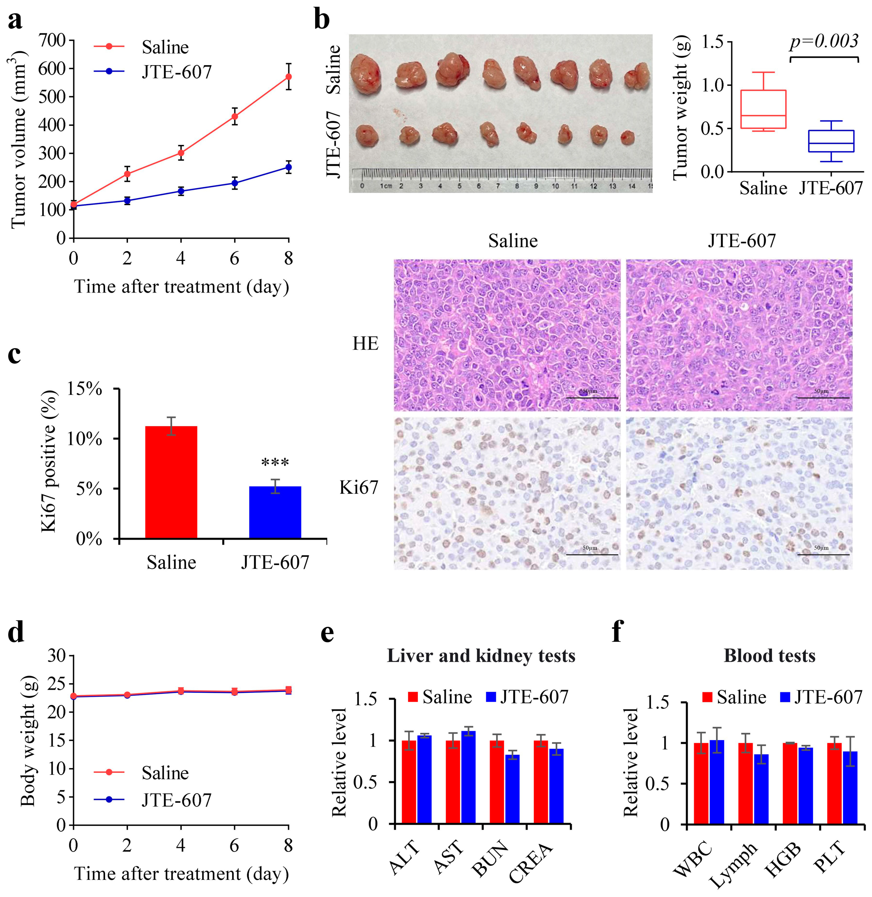 Cancers 15 04057 g008 Cancers 15 04057 g008