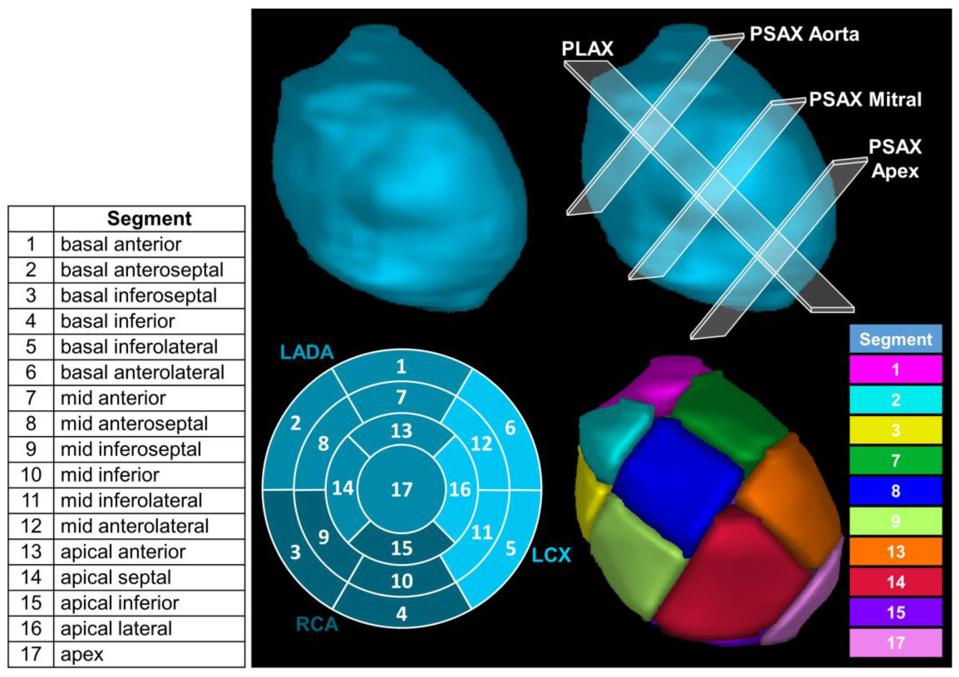 Cancers 15 04062 g001 Cancers 15 04062 g001