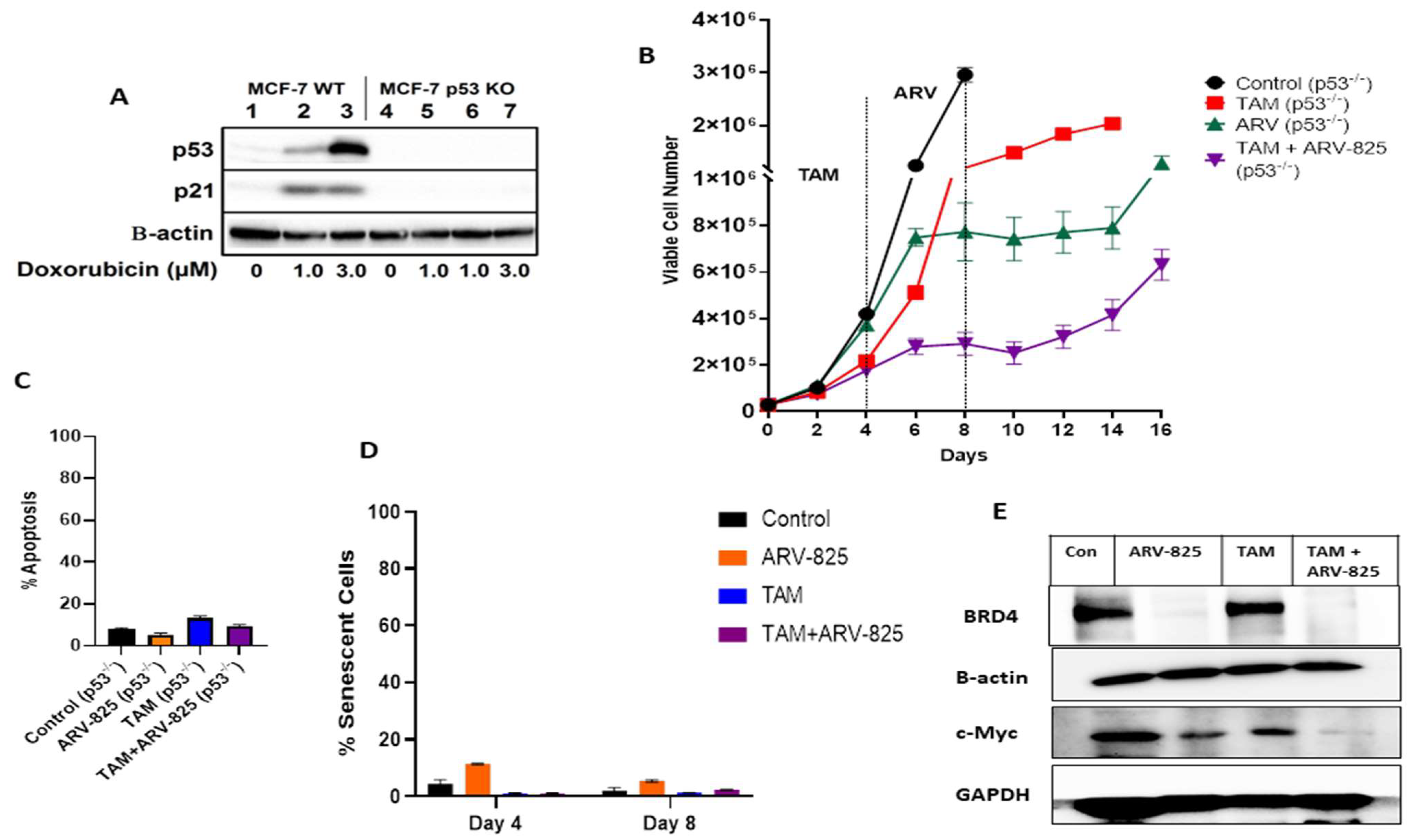 Cancers 15 04066 g002 Cancers 15 04066 g002