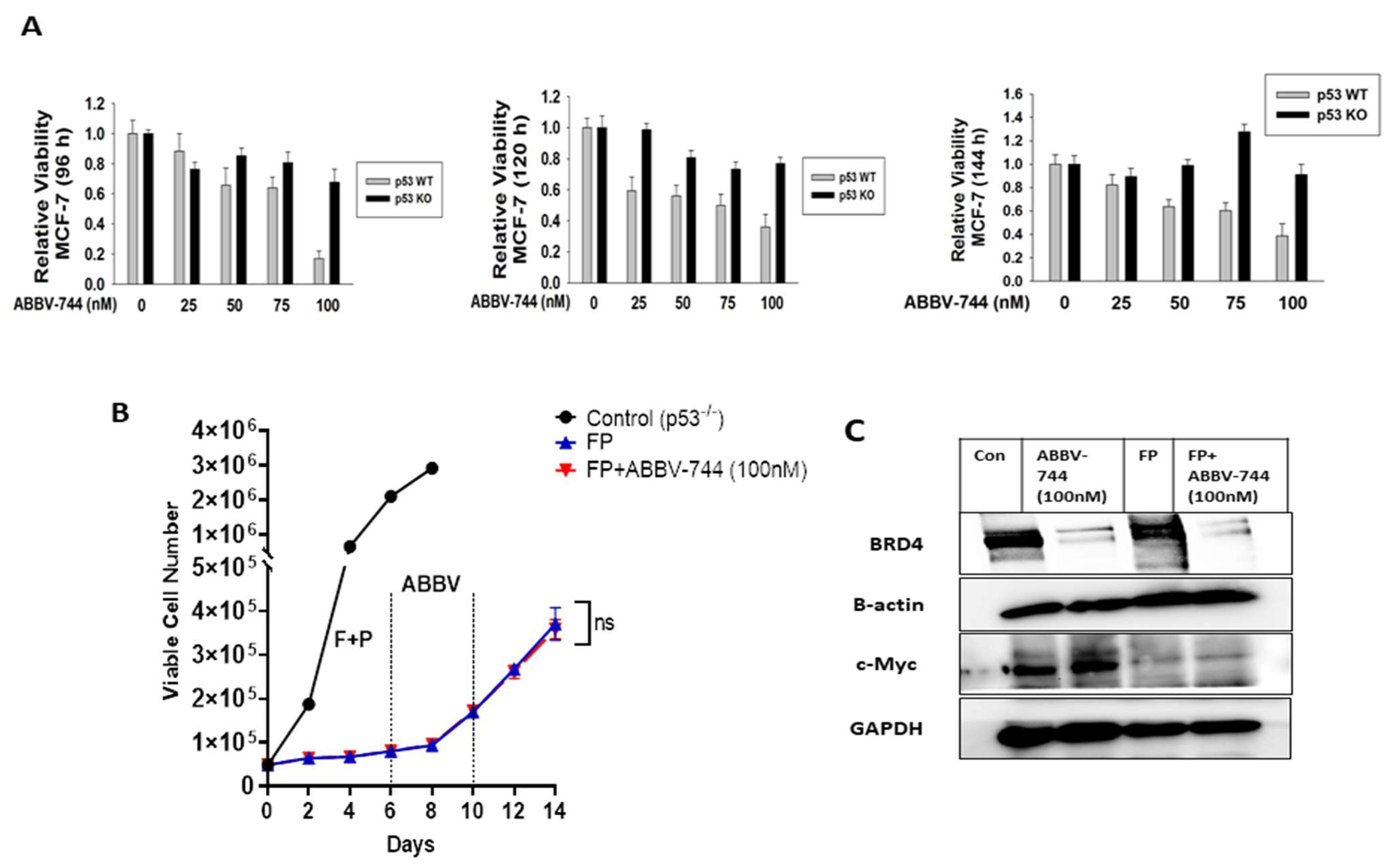 Cancers 15 04066 g004 Cancers 15 04066 g004