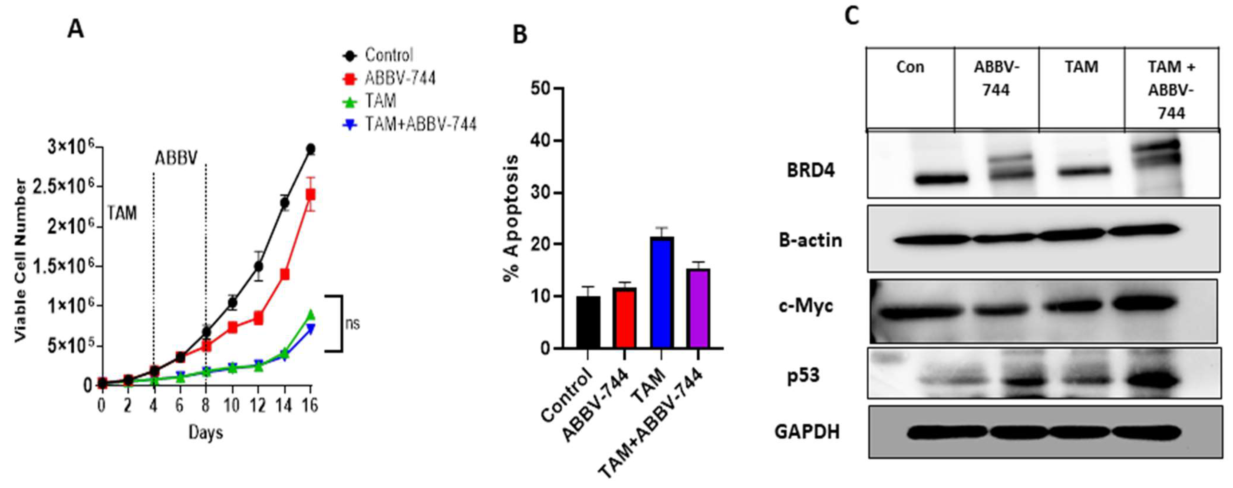 Cancers 15 04066 g006 Cancers 15 04066 g006
