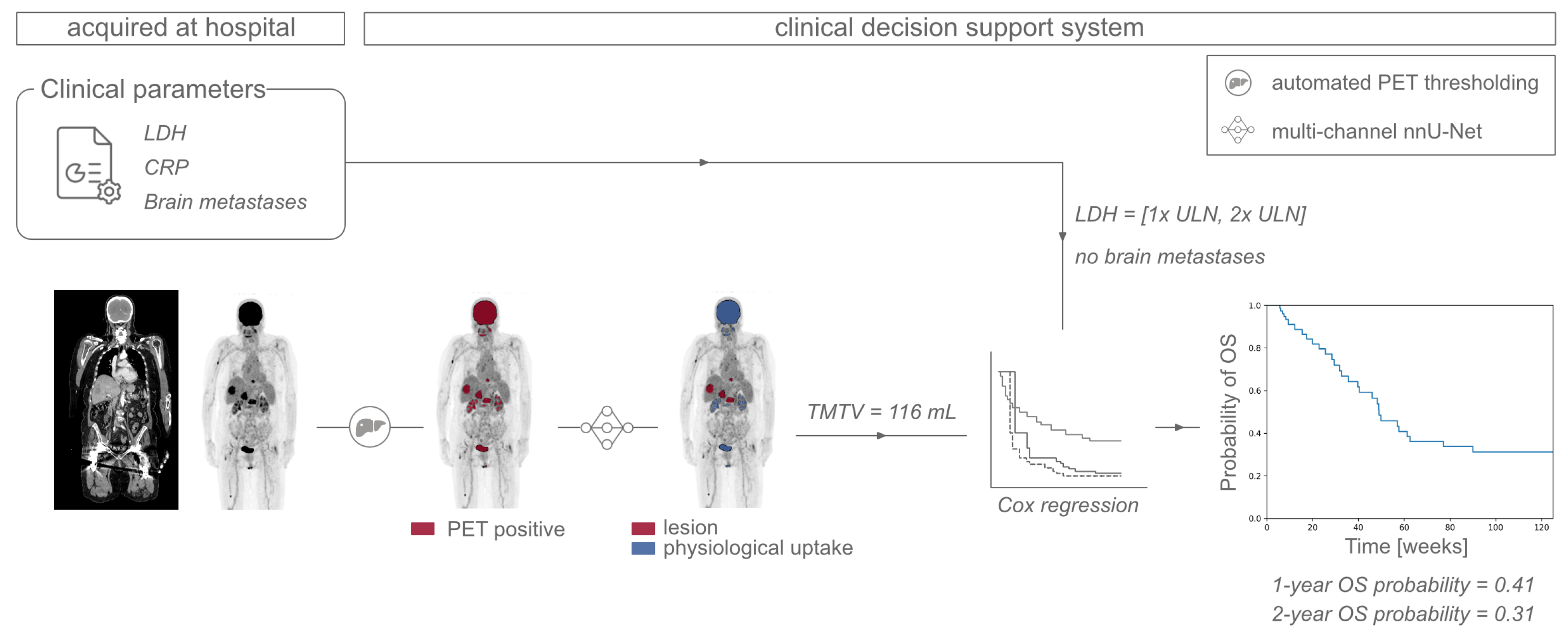 Cancers 15 04083 g004