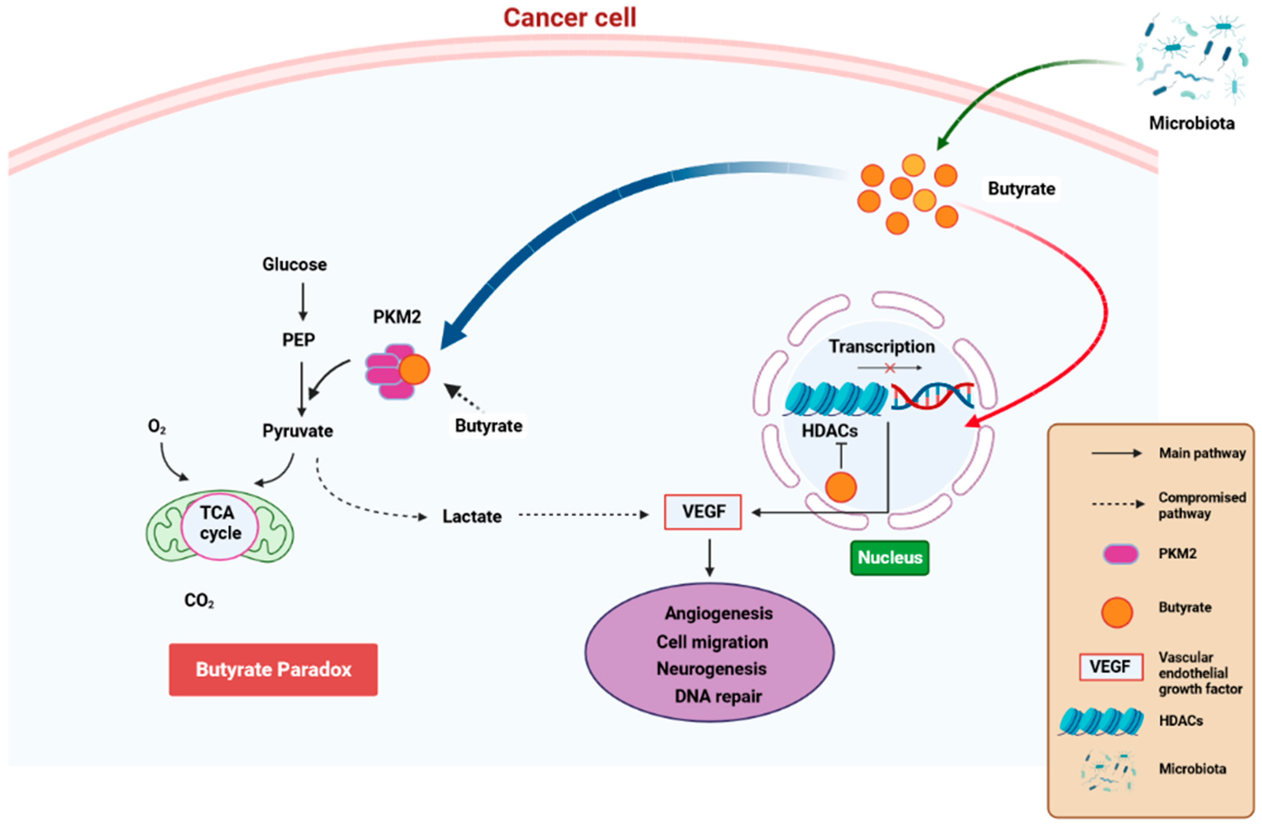 Cancers 15 04086 g004 Cancers 15 04086 g004