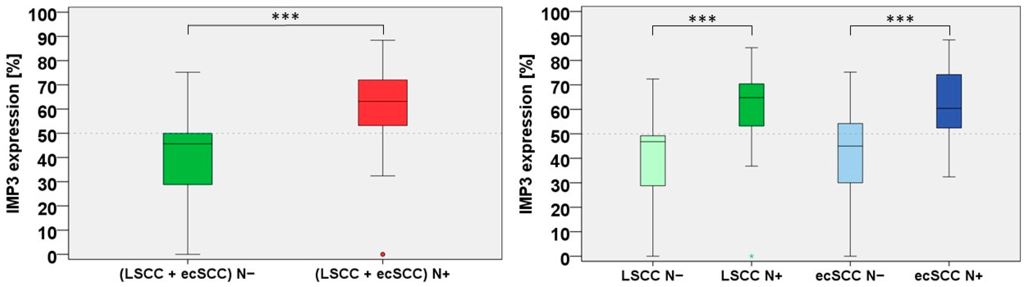Cancers 15 04087 g001