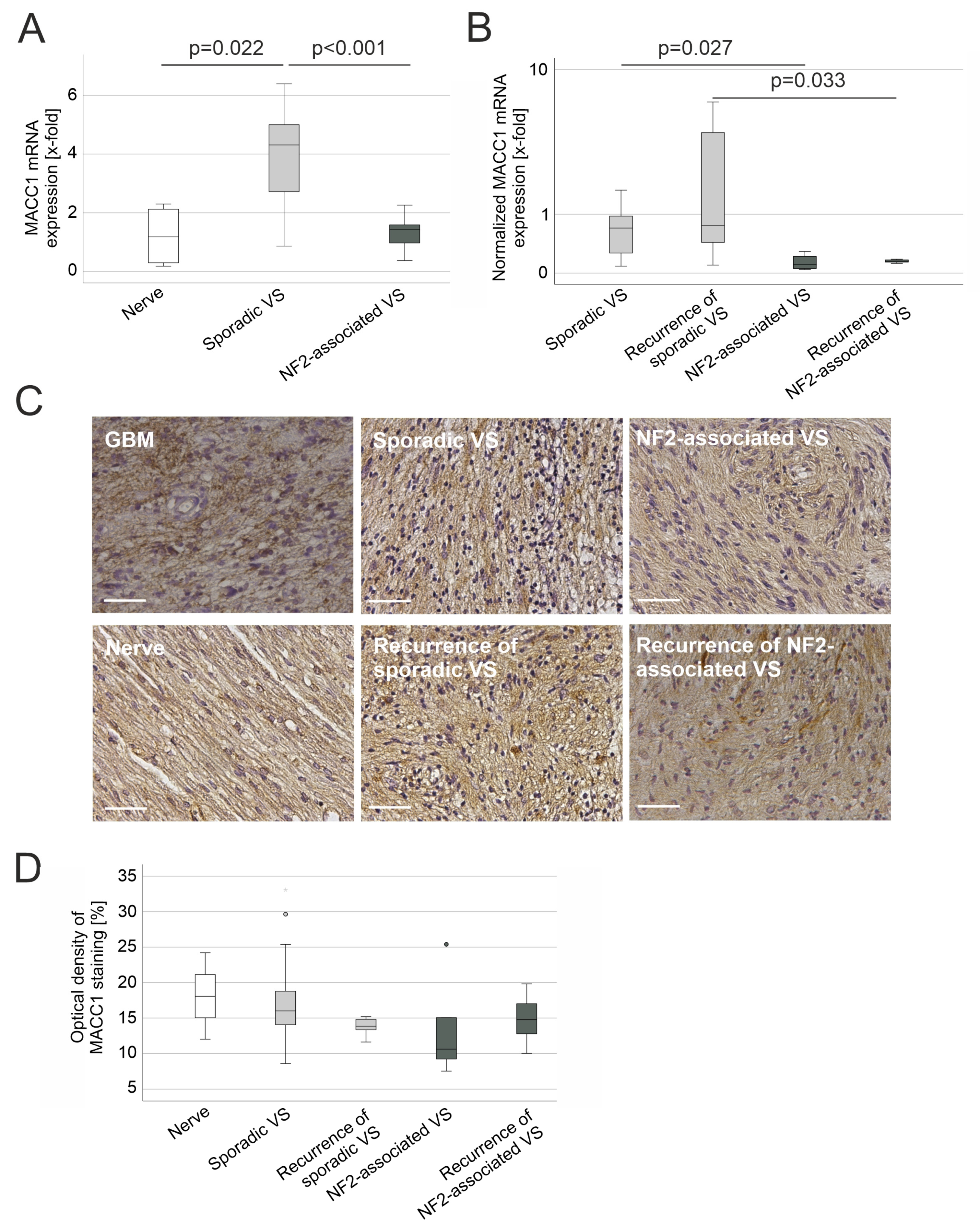 Cancers 15 04089 g001