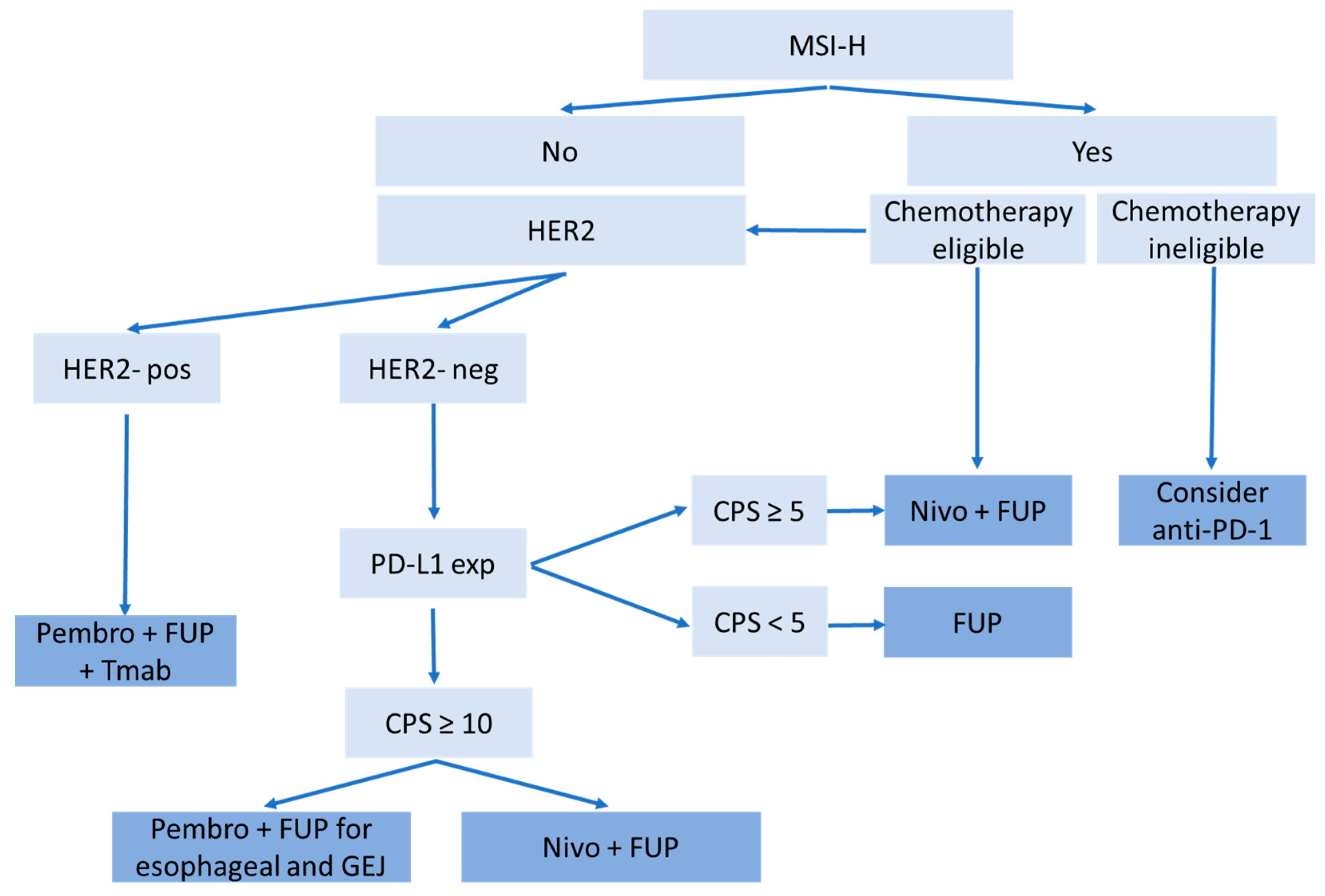 Cancers 15 04099 g001