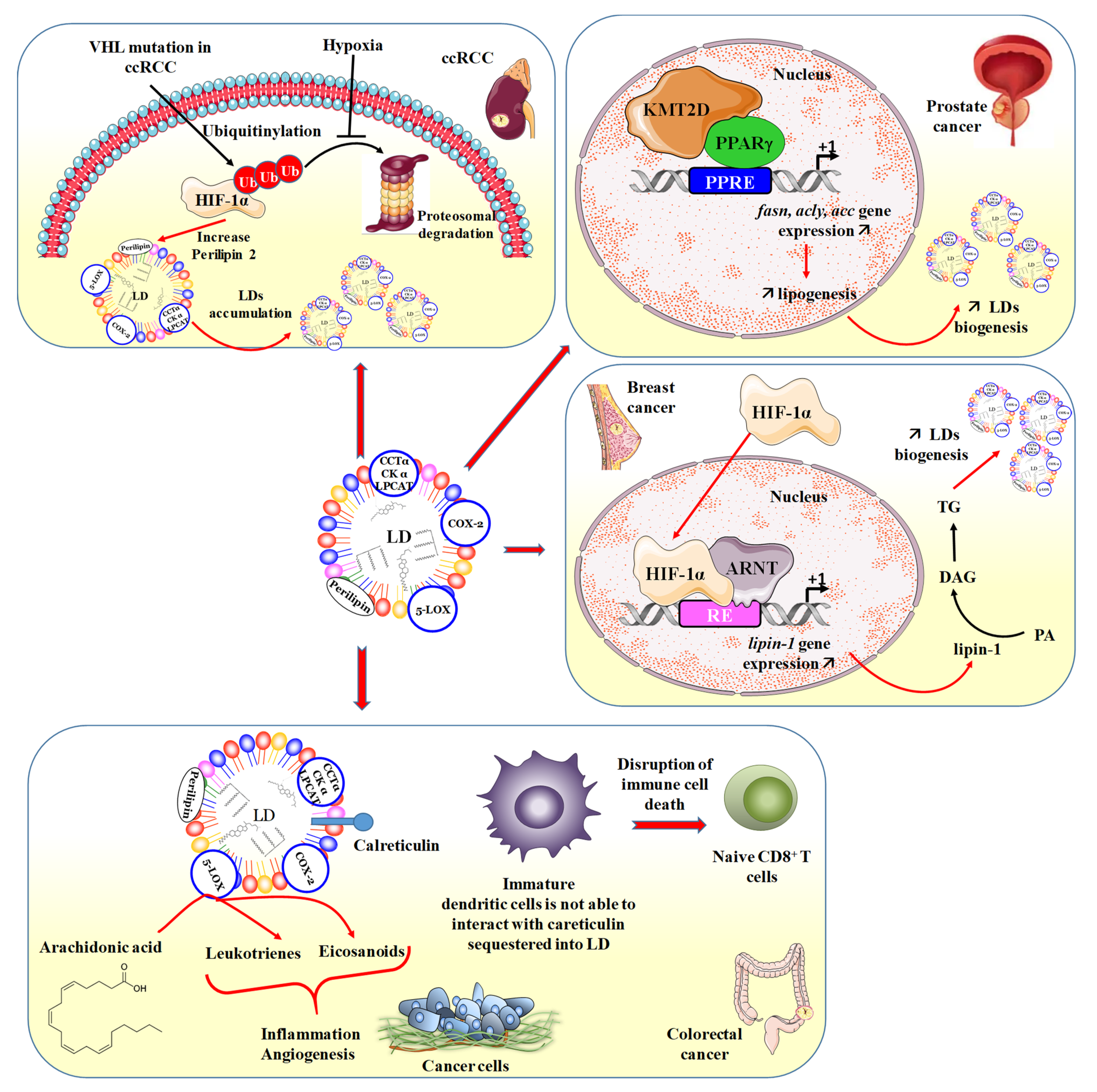 Cancers 15 04100 g002 Cancers 15 04100 g002