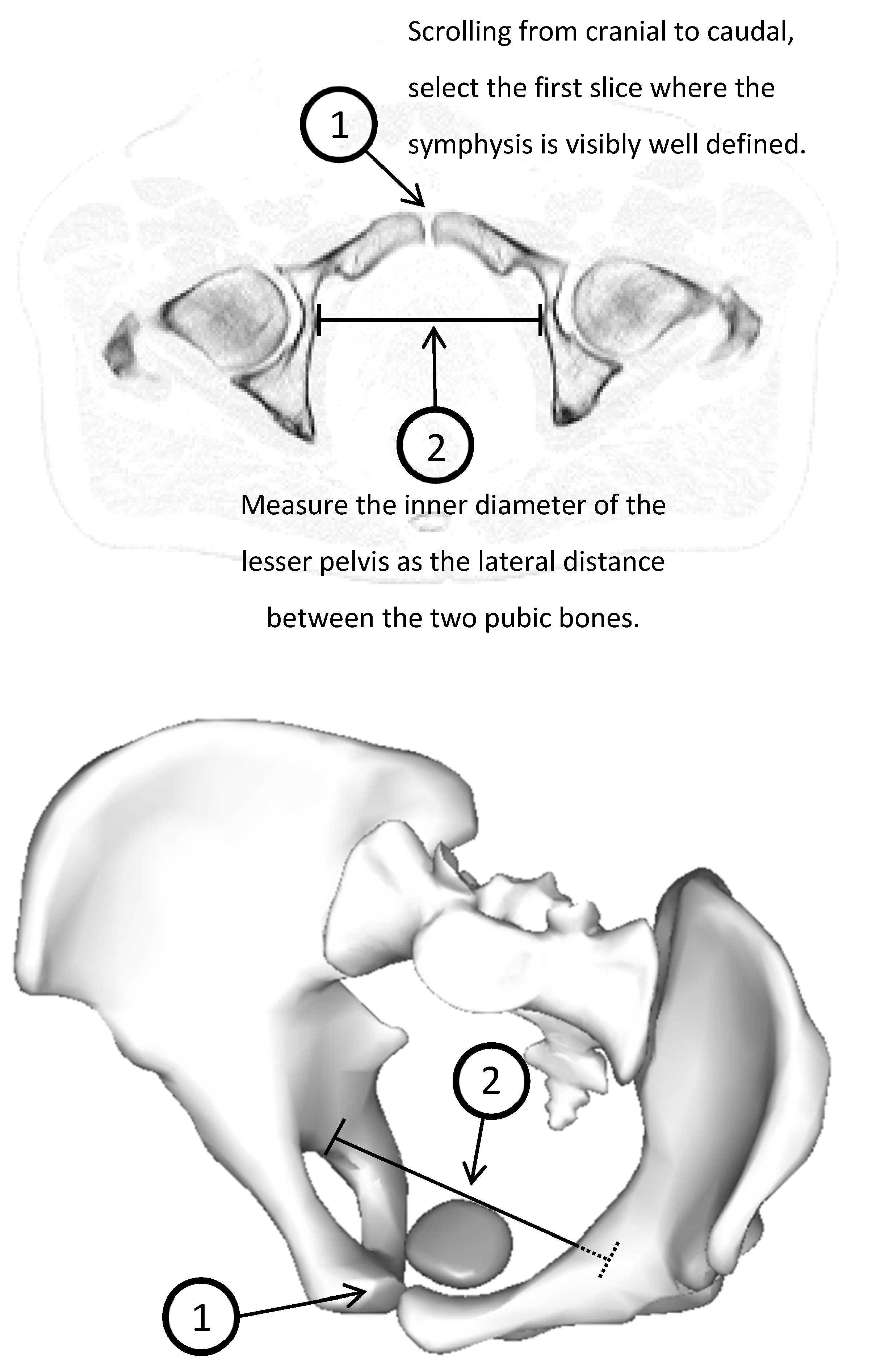 Cancers 15 04103 g002 Cancers 15 04103 g002