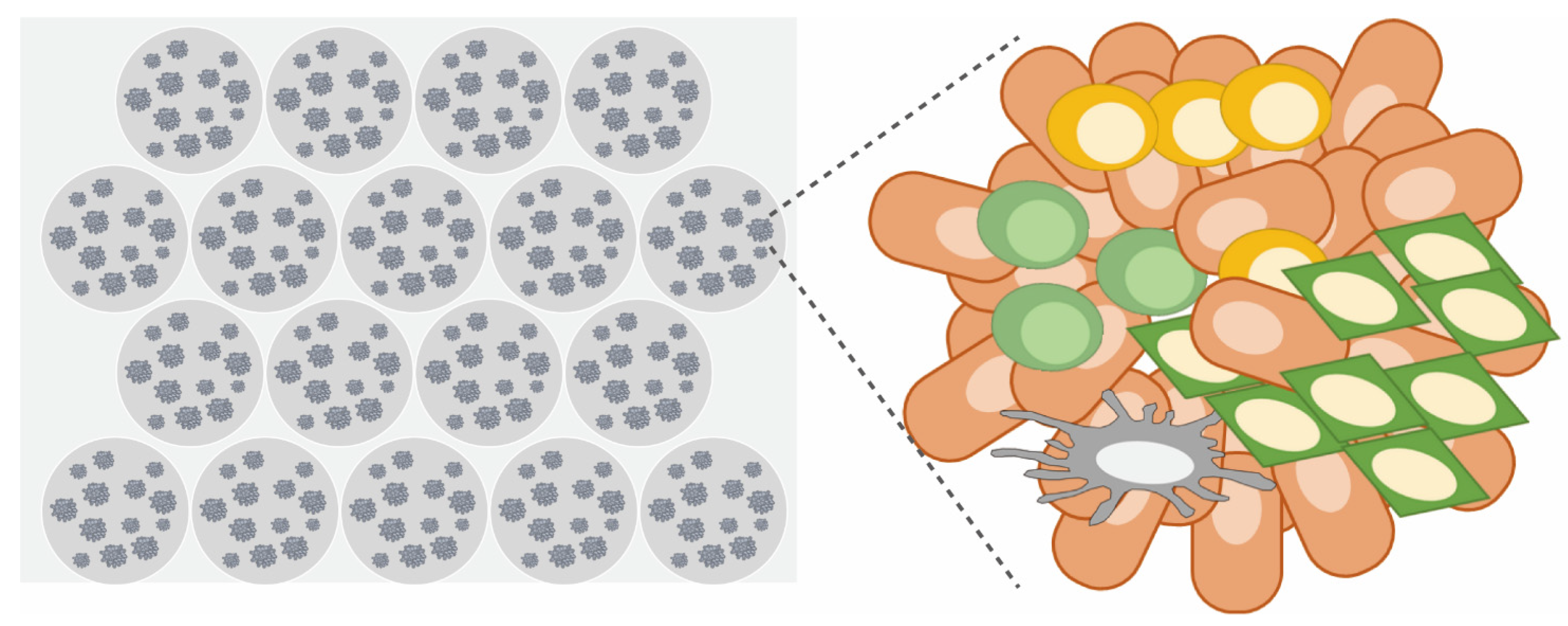 Cancers 15 04104 g007 Cancers 15 04104 g007