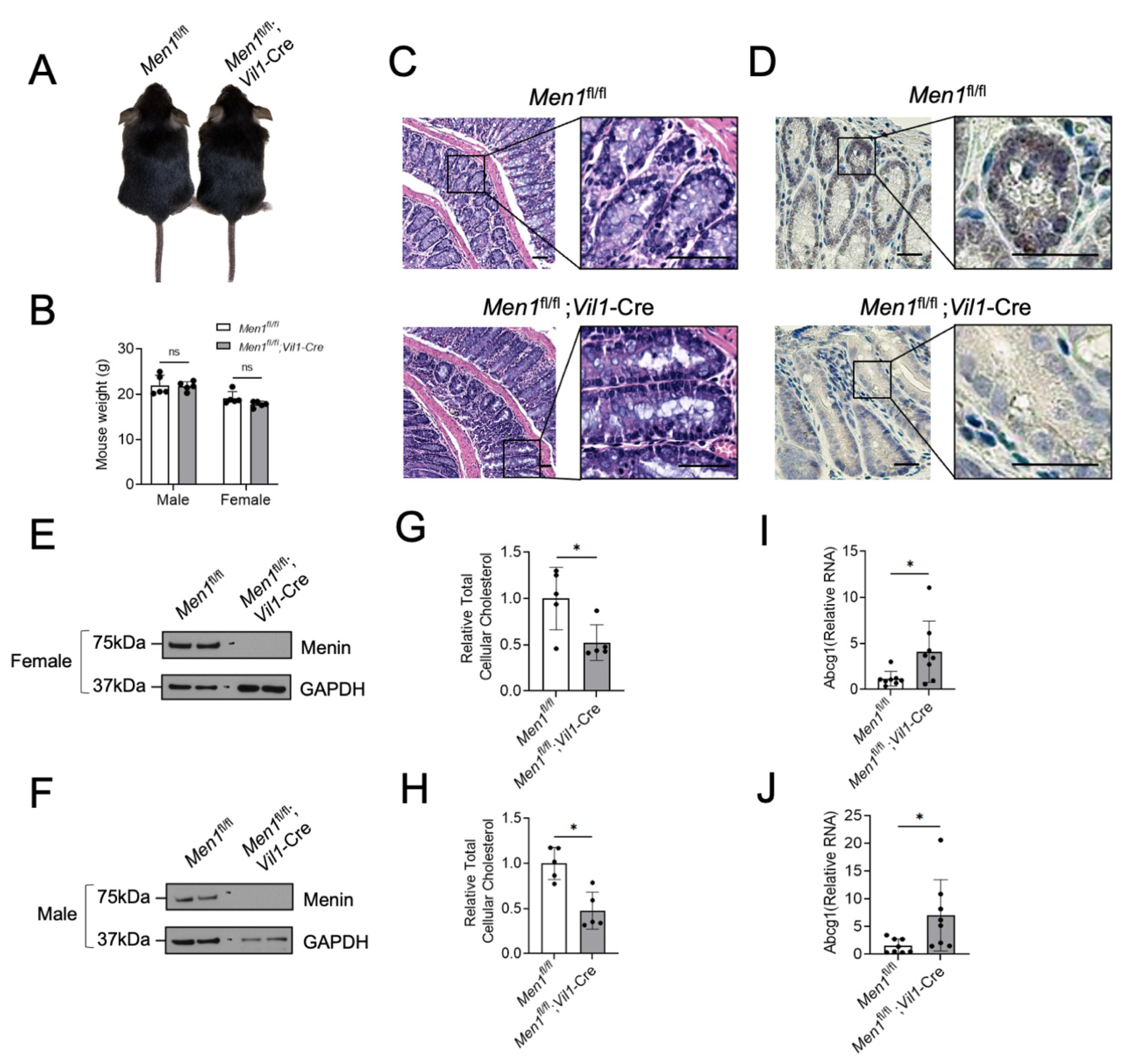 Cancers 15 04126 g005