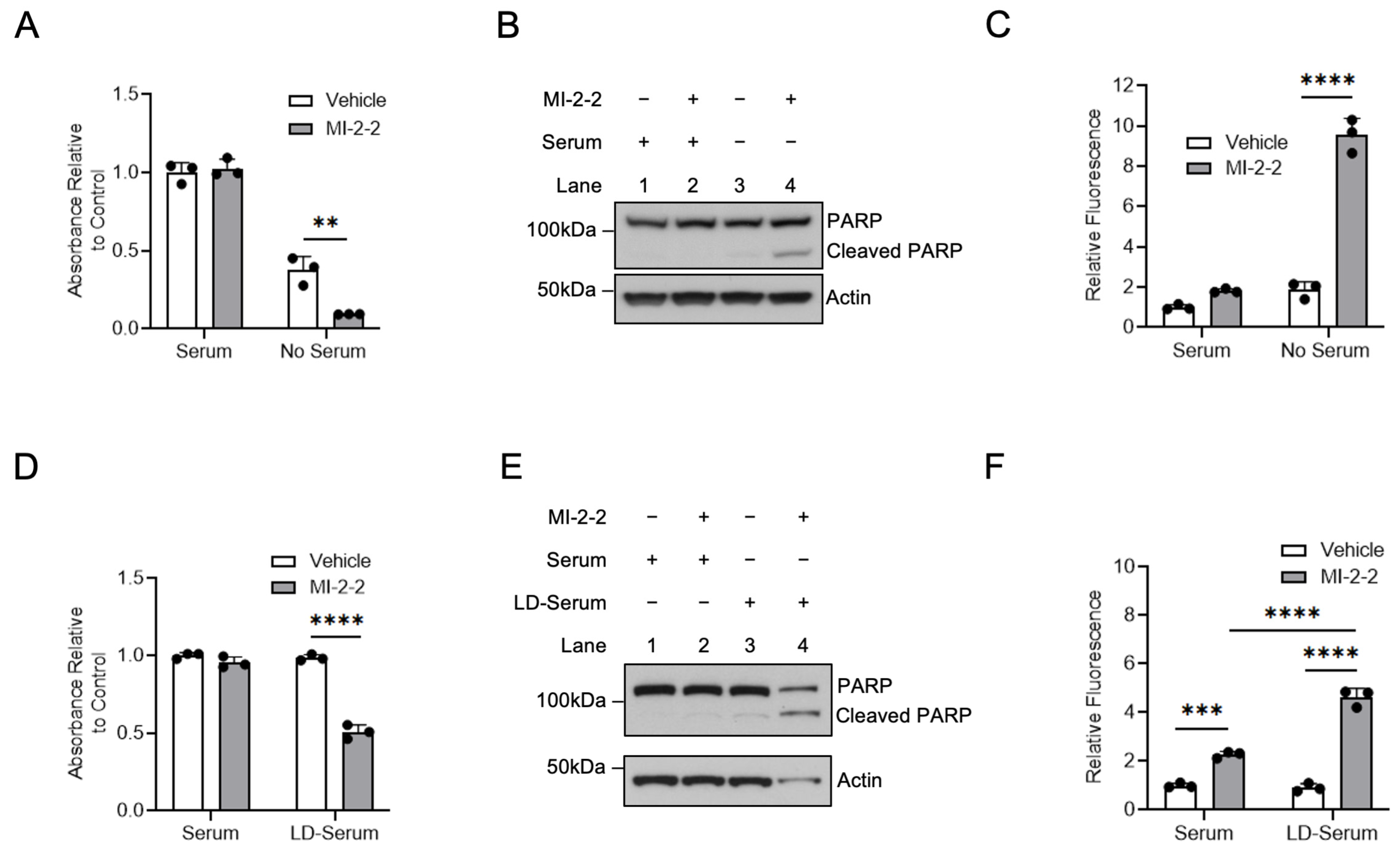 Cancers 15 04126 g006