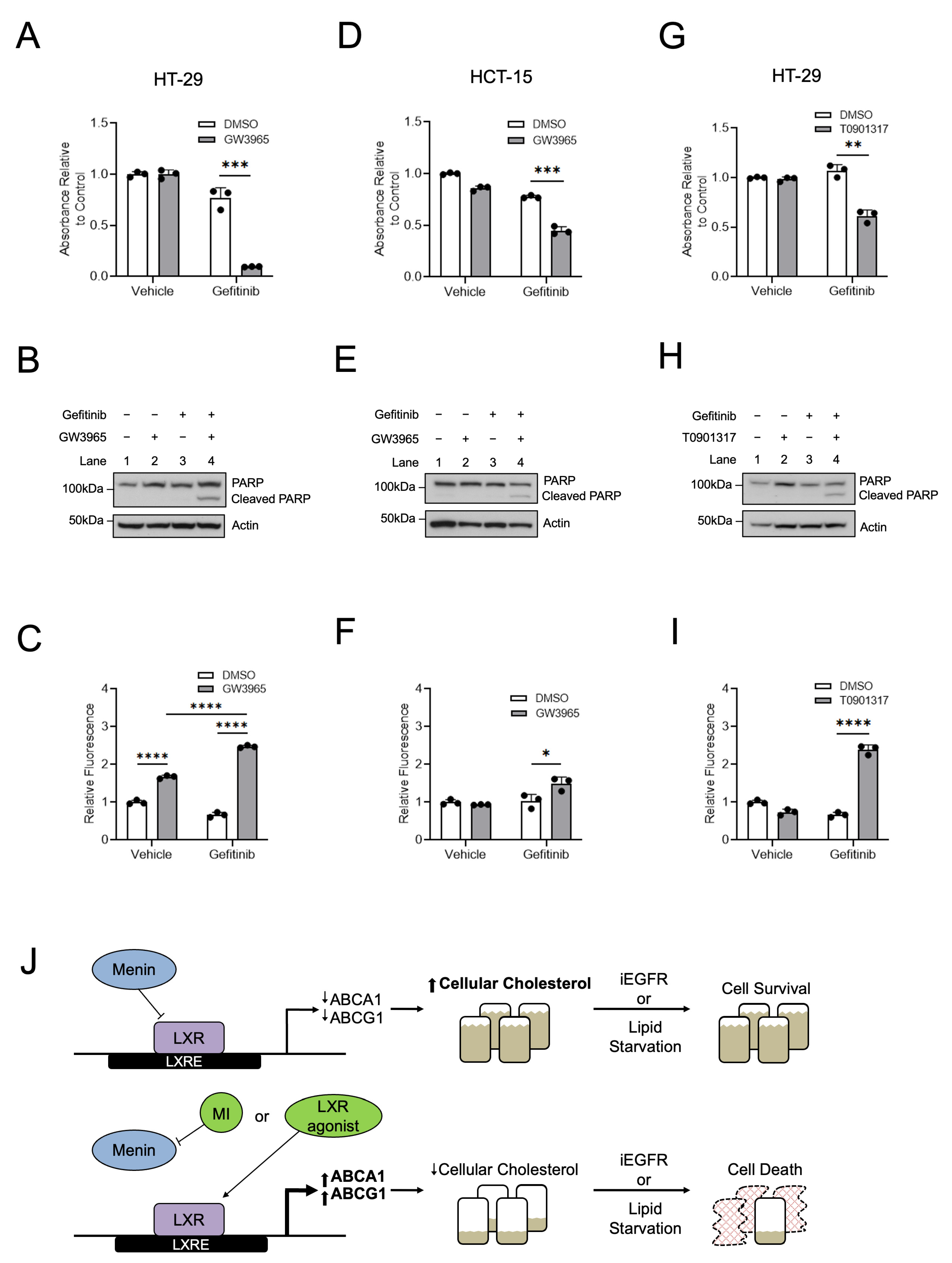 Cancers 15 04126 g007