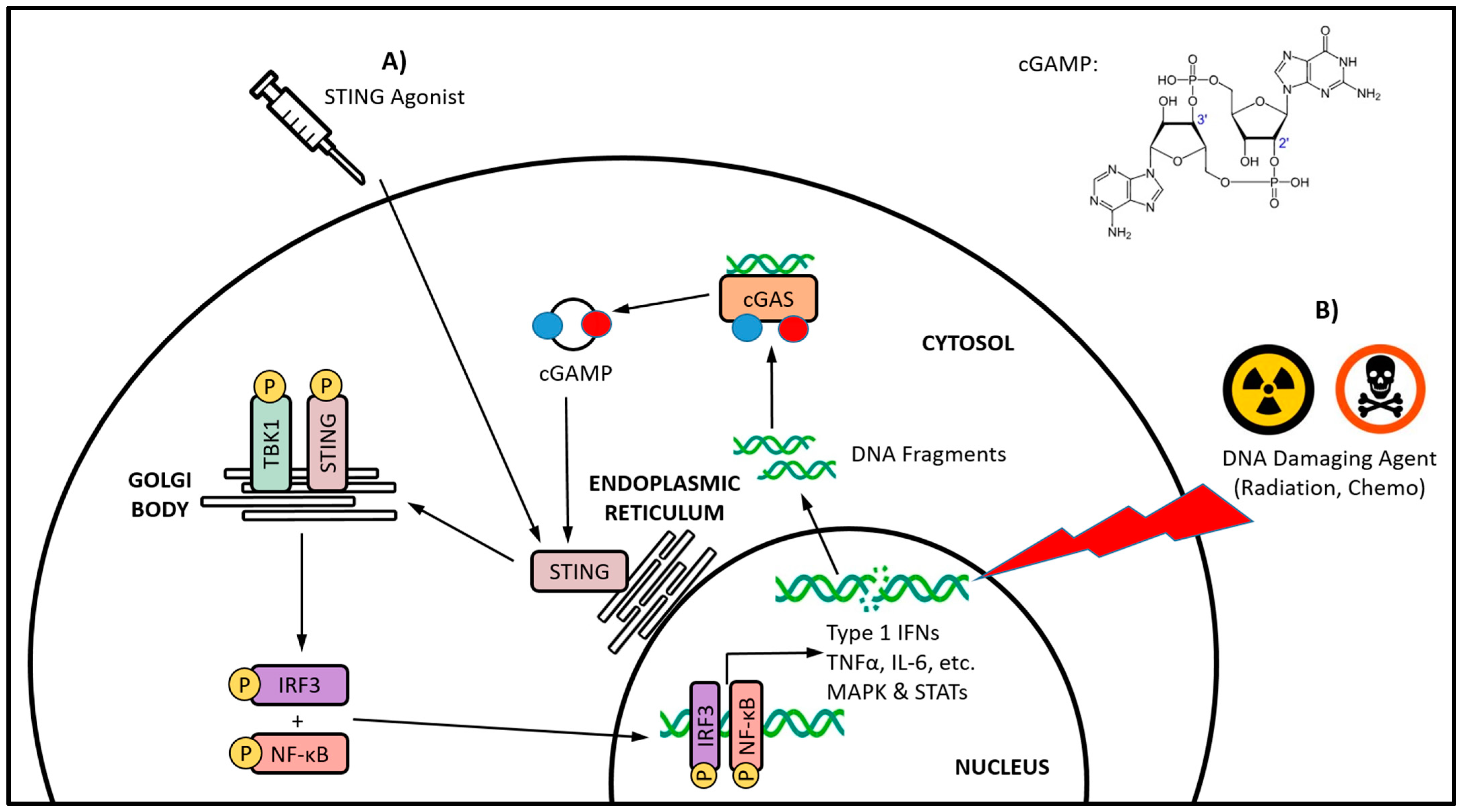 Cancers 15 04127 g001